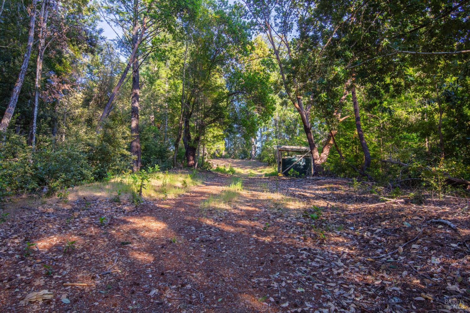 1235 Big Barn Road Cazadero, CA 95421 - Photo 18 of 23