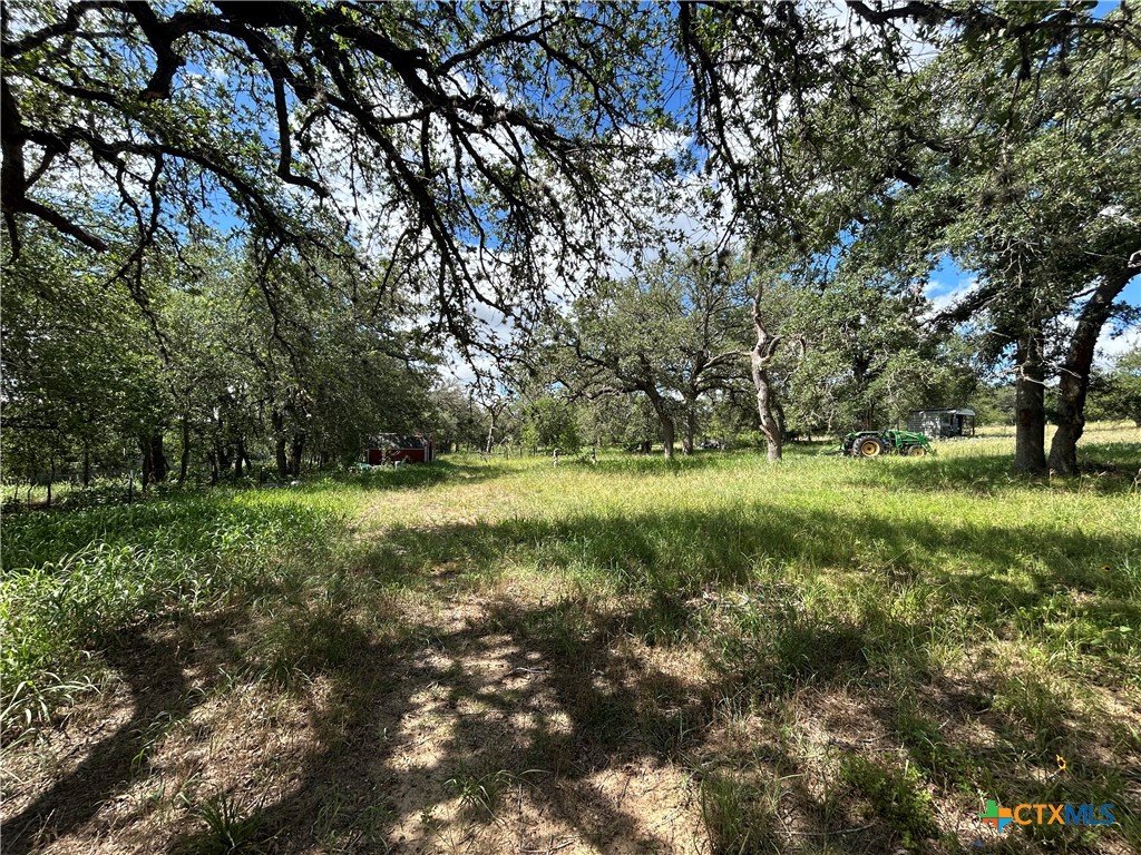 3849 Zion Hill Road Seguin, TX 78155 - Photo 32 of 35 a view of outdoor space with green field and trees all around