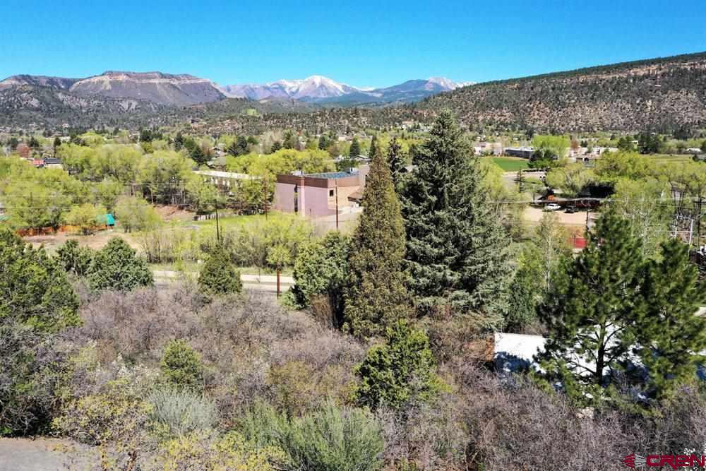 900 Florida Road Durango, CO 81301 - Photo 9 of 15 a view of a lush green field with lots of bushes