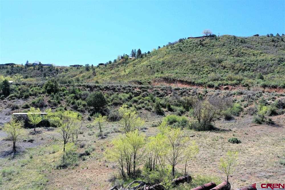 900 Florida Road Durango, CO 81301 - Photo 10 of 15 a view of a forest with trees in the background