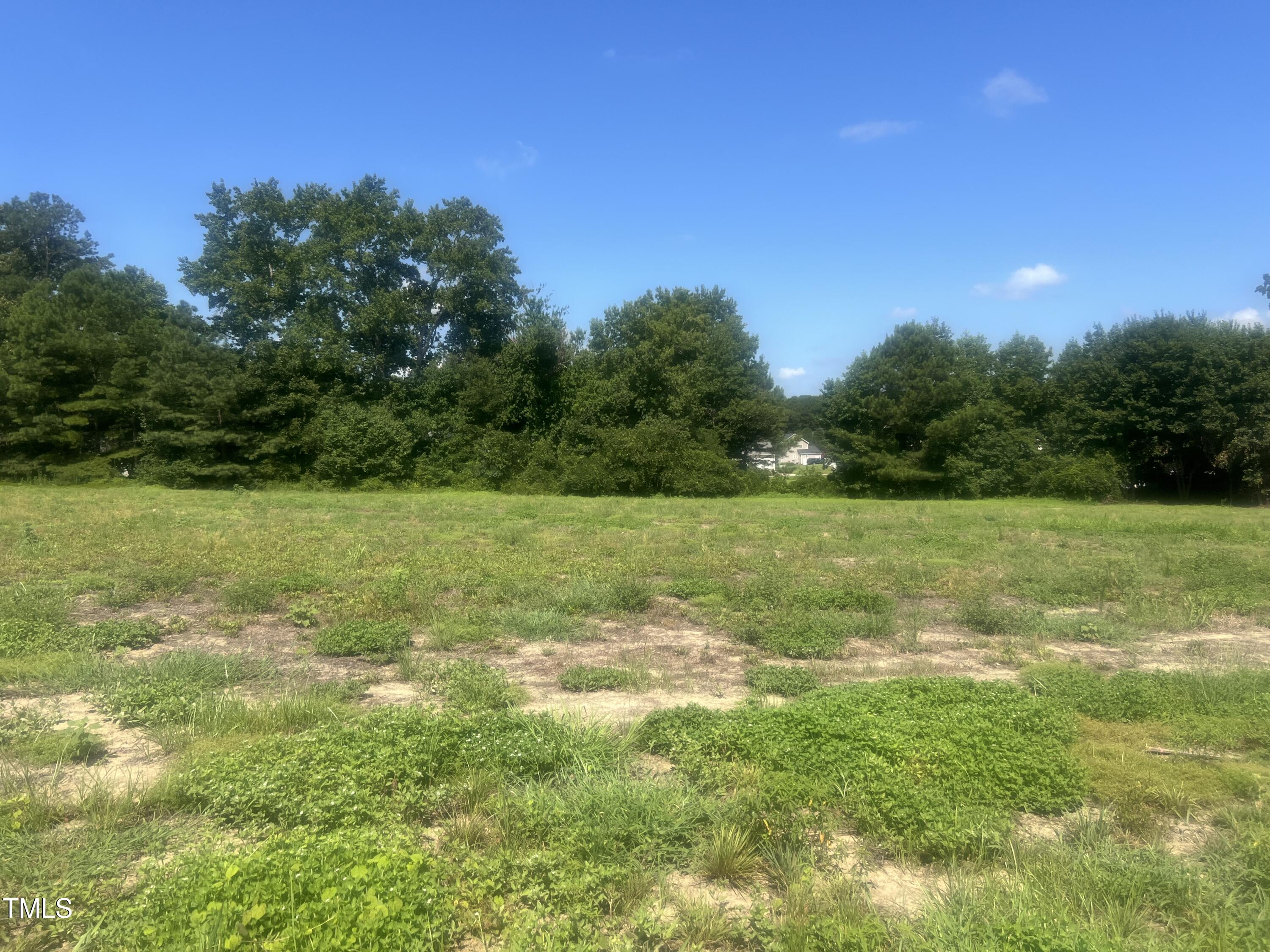 135 White Memorial Road Angier, NC 27501 - Photo 12 of 13 From Front left
