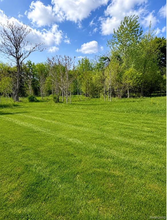 1423 North Belsay Road Burton, MI 48509 - Photo 3 of 3