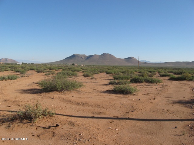 10-acres East Buck Ranch Road Pearce, AZ 85625 - Photo 6 of 6
