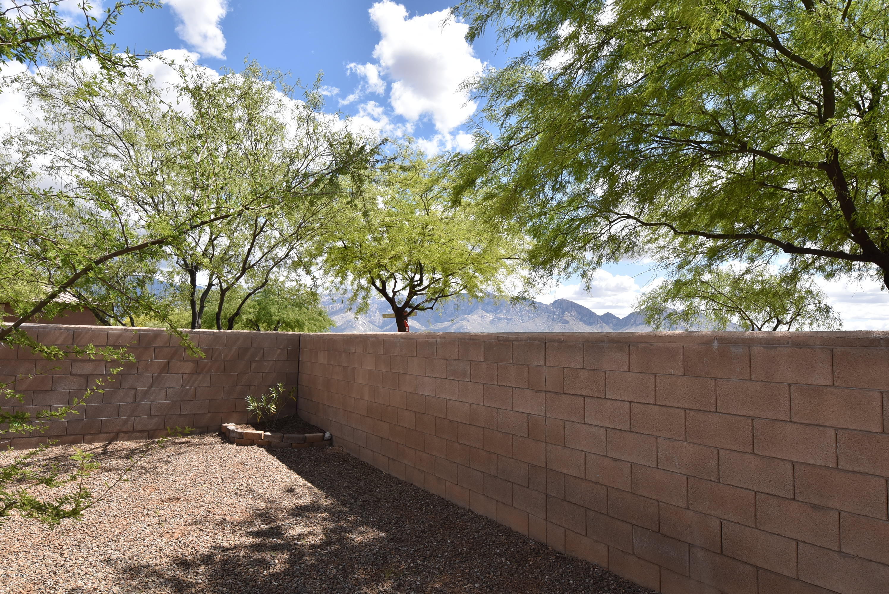 12823 Bloomington Loop Tucson, AZ 85755 - Photo 31 of 39