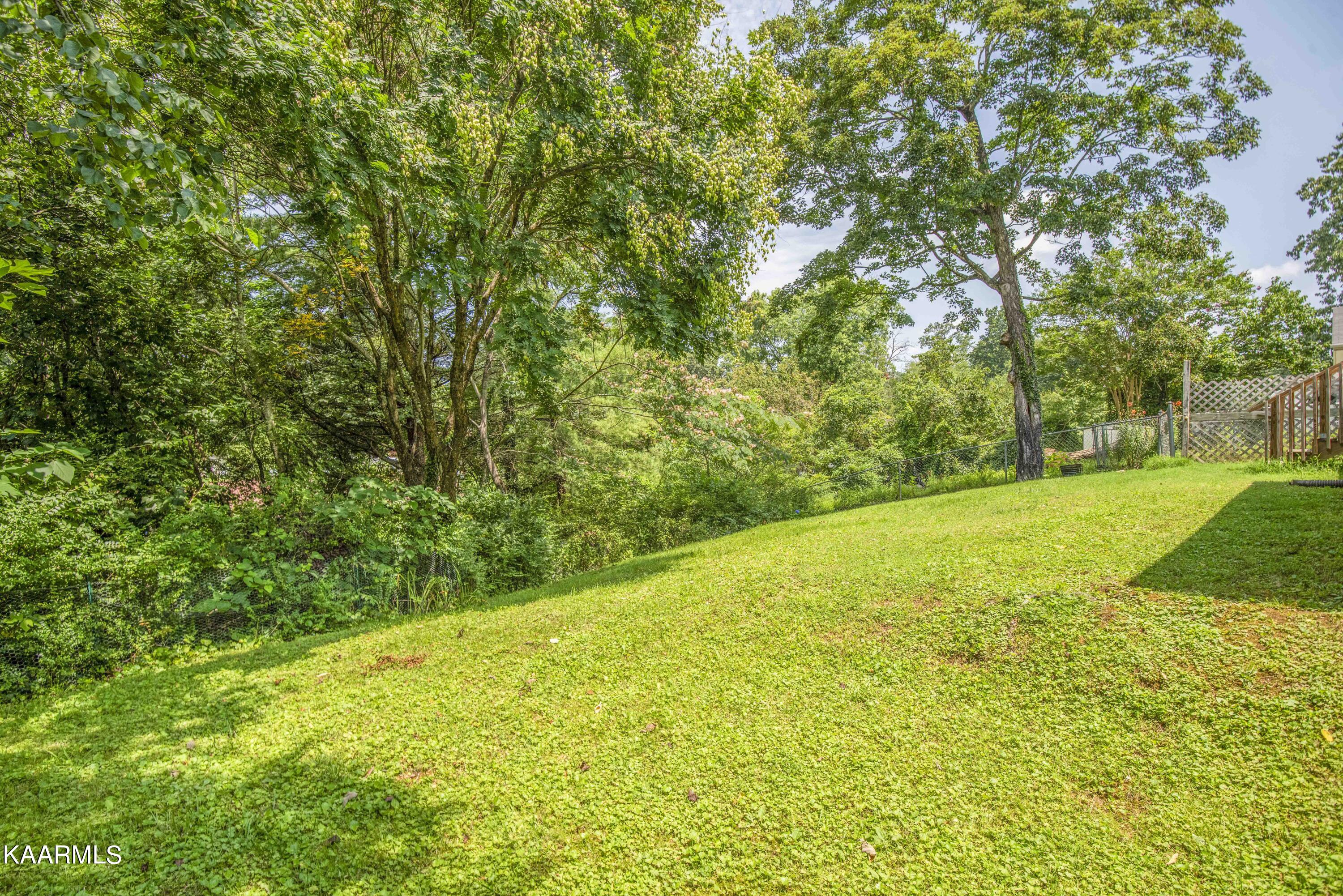 104 West Malta Road Oak Ridge, TN 37830 - Photo 25 of 41 yard_1