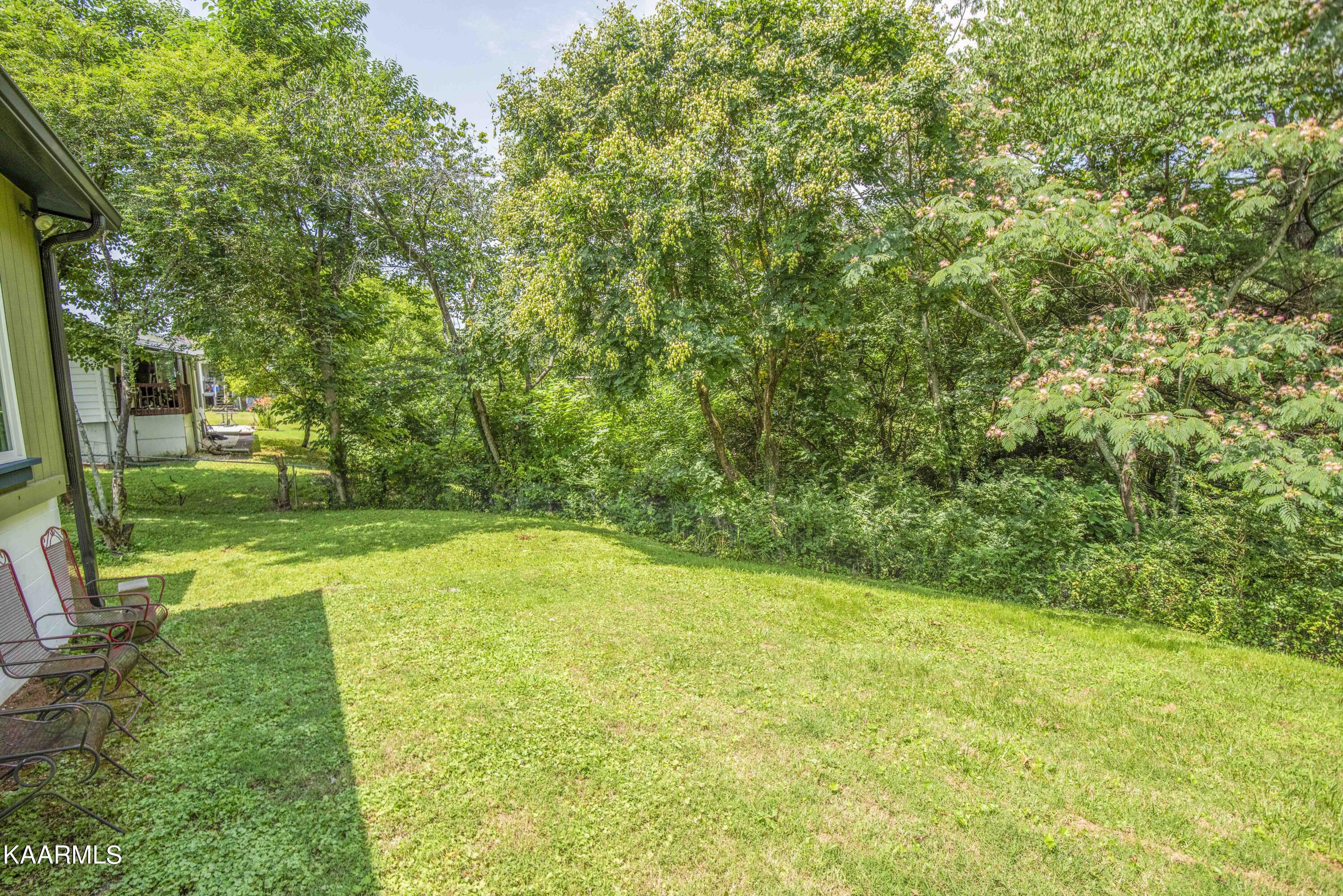 104 West Malta Road Oak Ridge, TN 37830 - Photo 26 of 41 yard 6_1