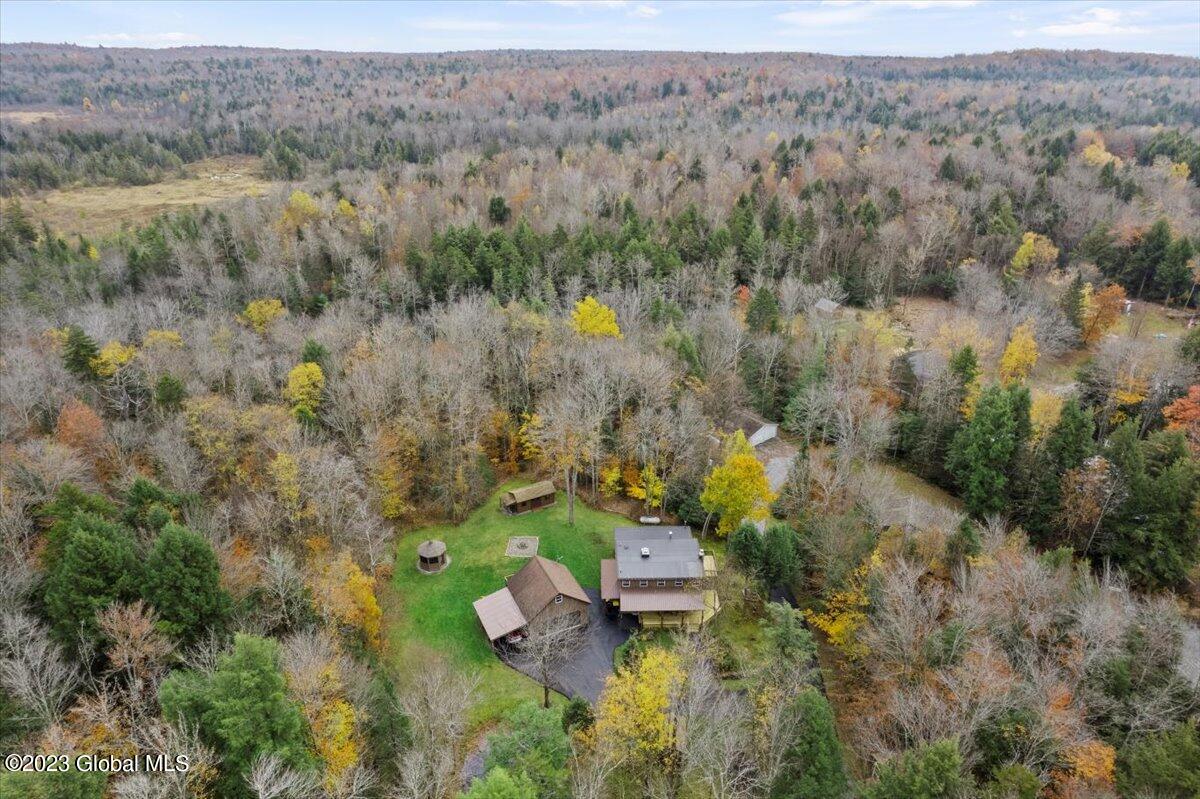 182 Lake Nancy Road Middle Grove, NY 12850 - Photo 9 of 43 07-DJI_0339
