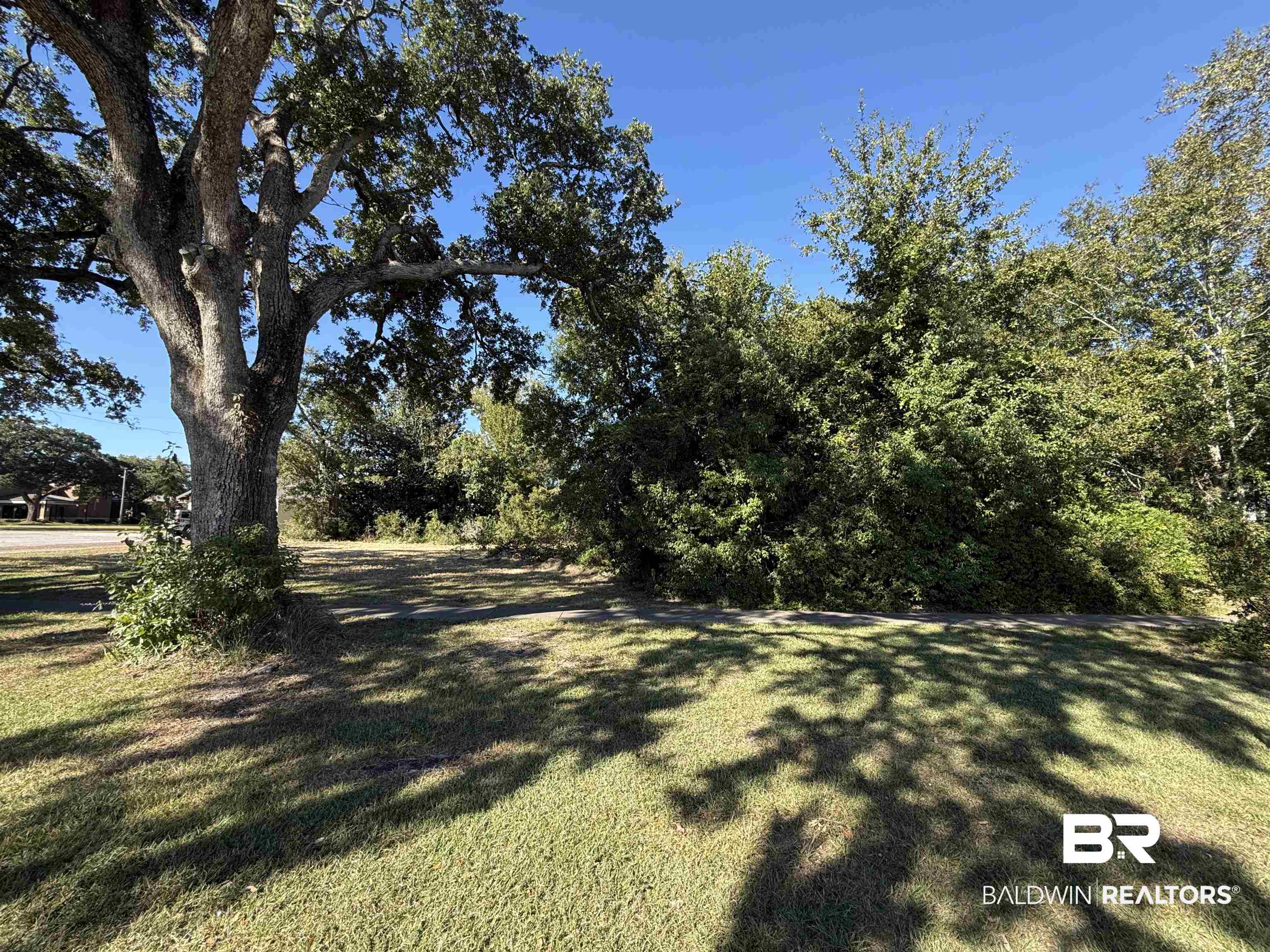 0 North Alston Street Foley, AL 36535 - Photo 3 of 4 Gallery Image 3