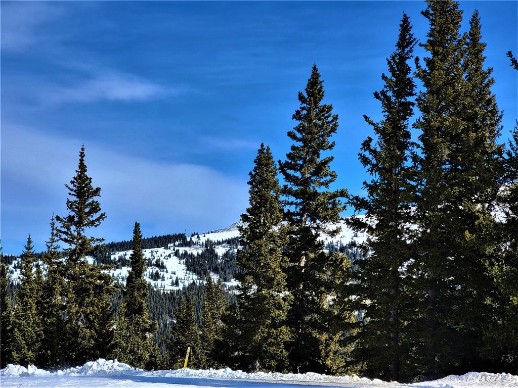 22 Ron's Road Alma, CO 80420 - Photo 12 of 27 a view of a city
