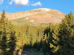 22 Ron's Road Alma, CO 80420 - Photo 2 of 27 a view of ocean