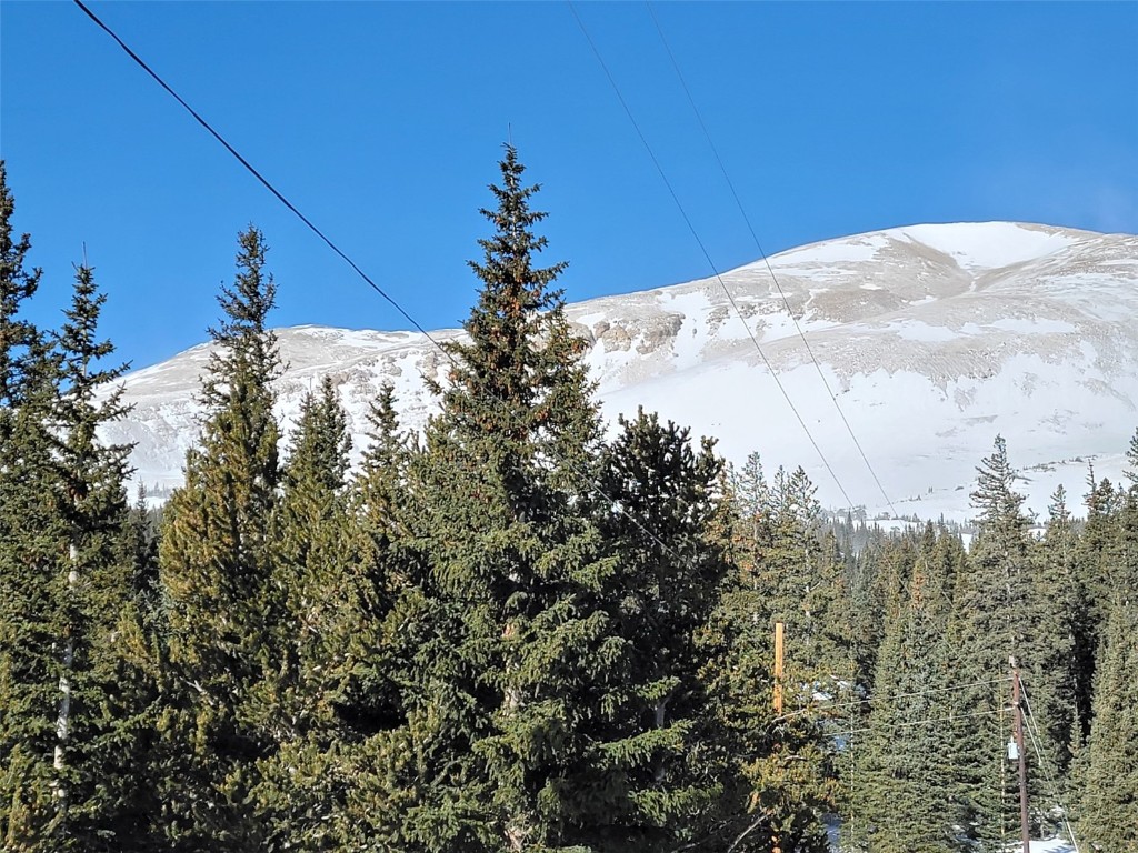 22 Ron's Road Alma, CO 80420 - Photo 26 of 27 a view of a road from a snow