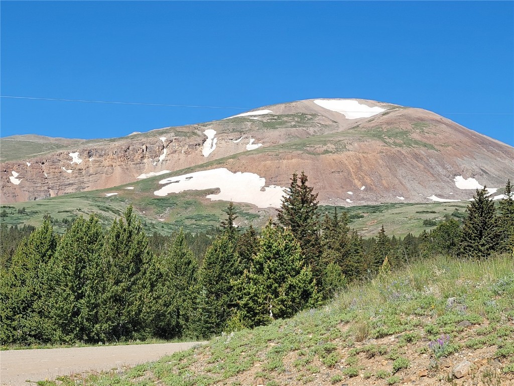 22 Ron's Road Alma, CO 80420 - Photo 4 of 27 a view of a yard