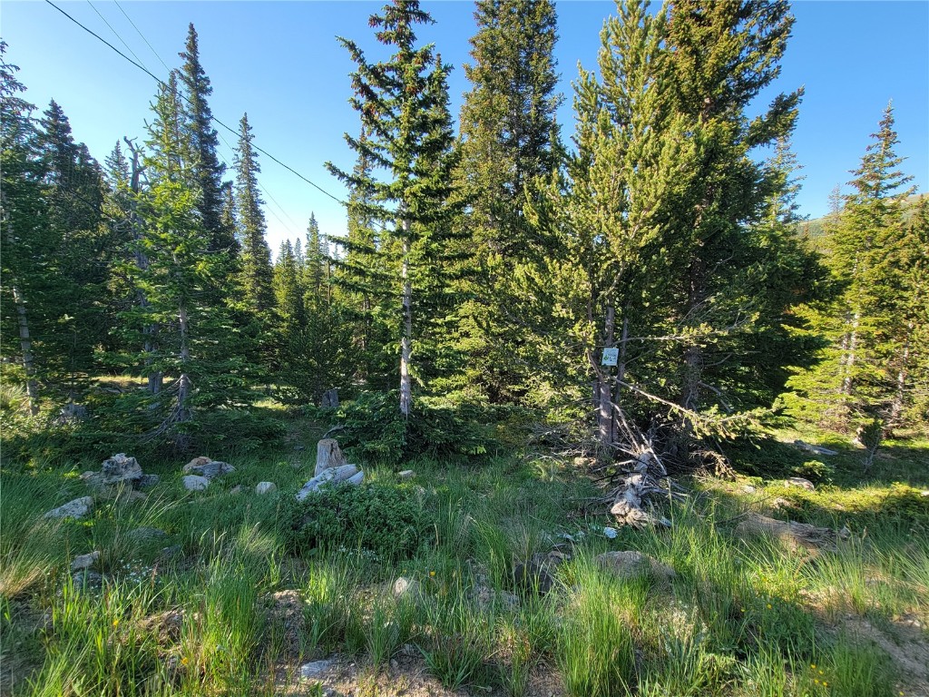 22 Ron's Road Alma, CO 80420 - Photo 6 of 27 a view of a lush green forest