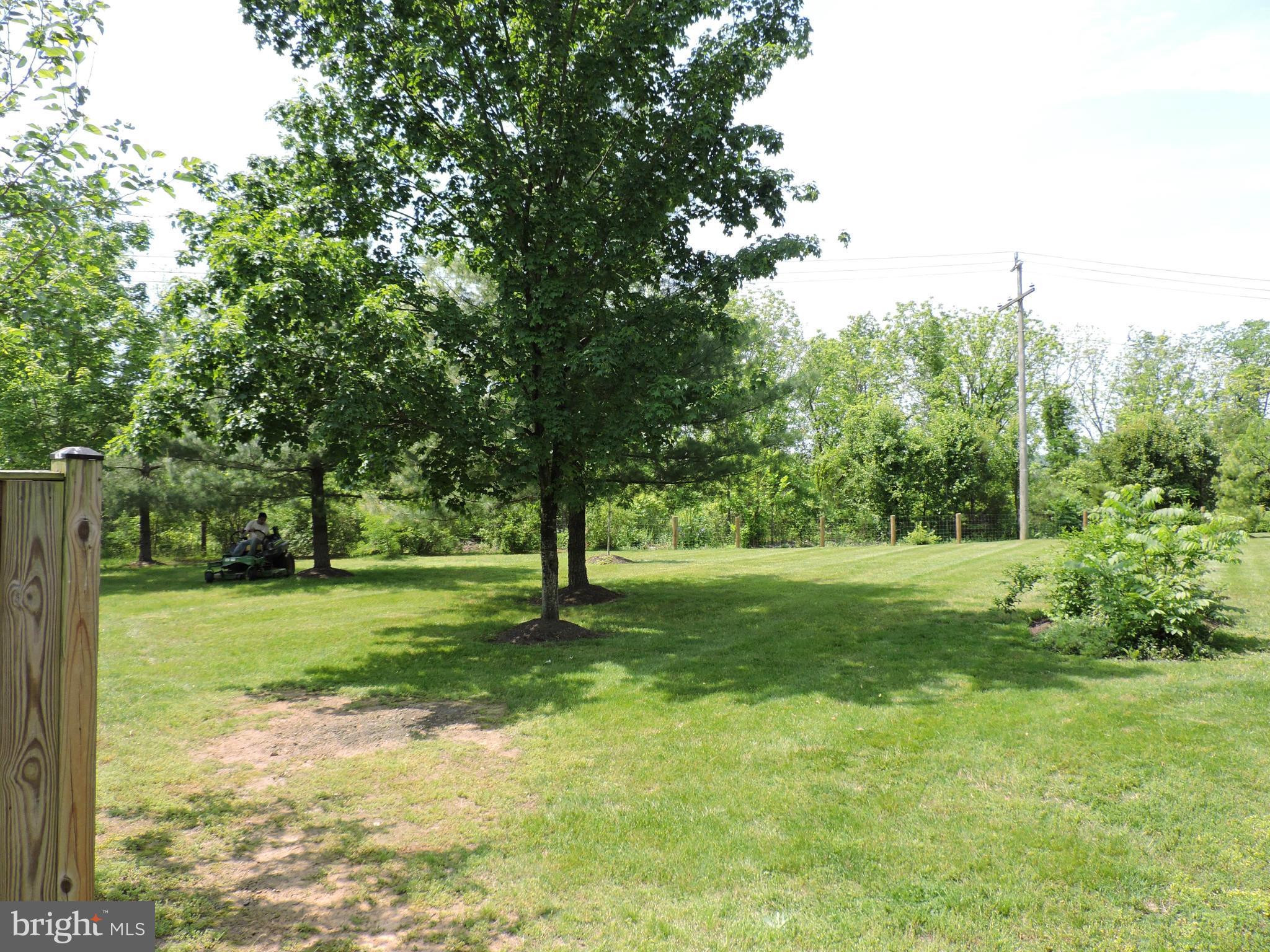 331 Davis Avenue Southwest Leesburg, VA 20175 - Photo 27 of 29 a view of a trees in a park