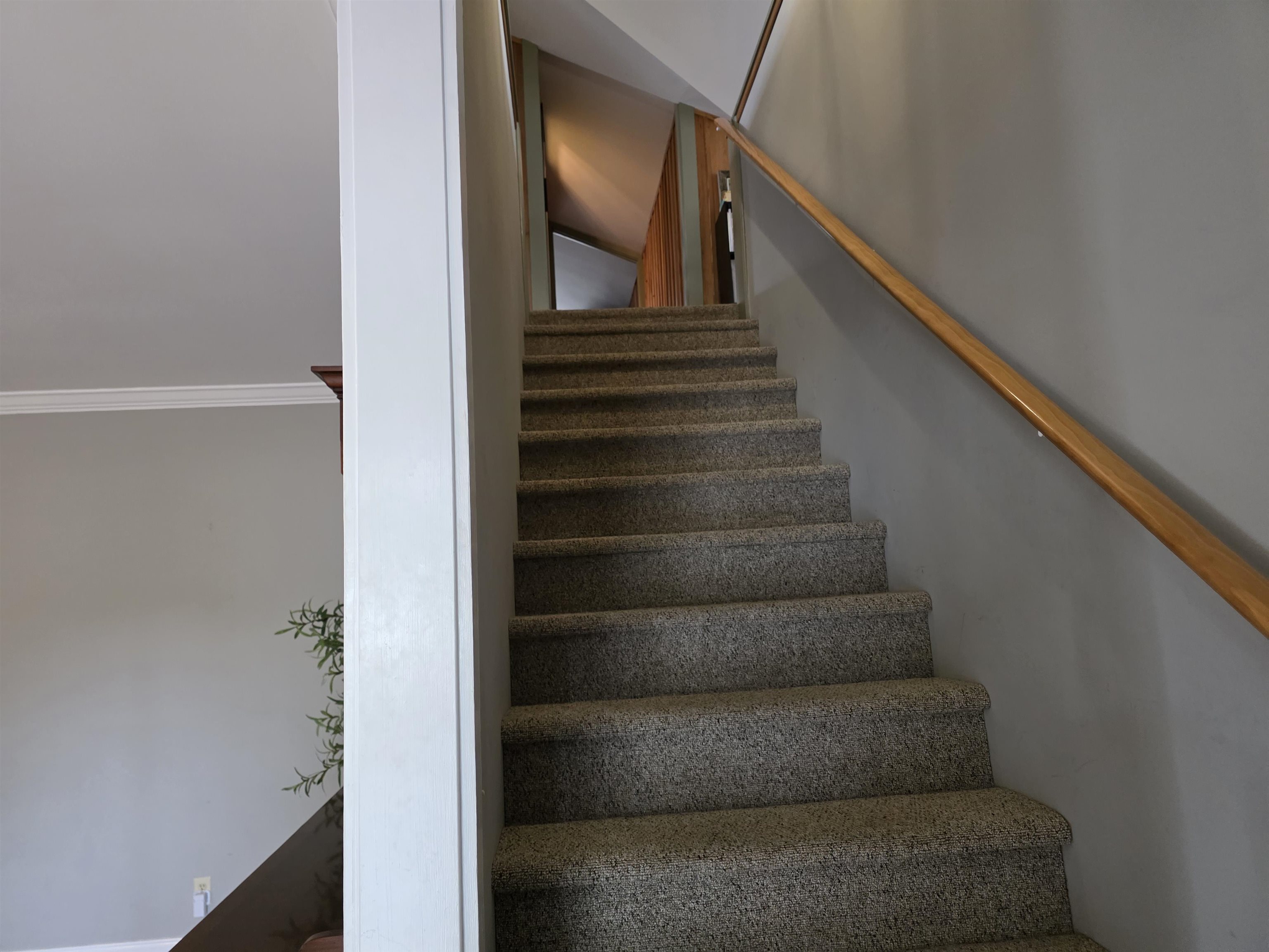 616 Marshview Lane Georgetown, SC 29440 - Photo 41 of 51