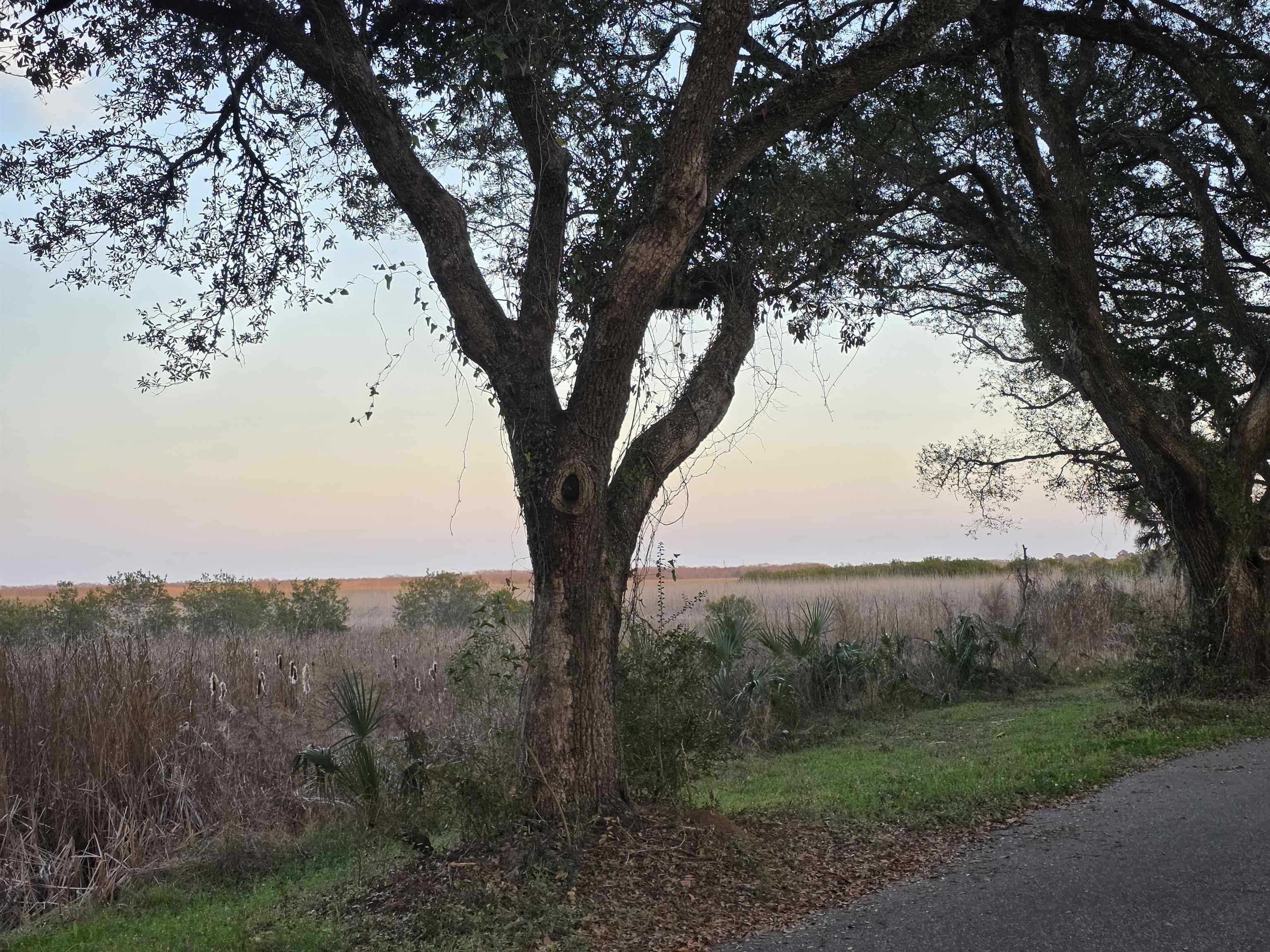 616 Marshview Lane Georgetown, SC 29440 - Photo 49 of 51