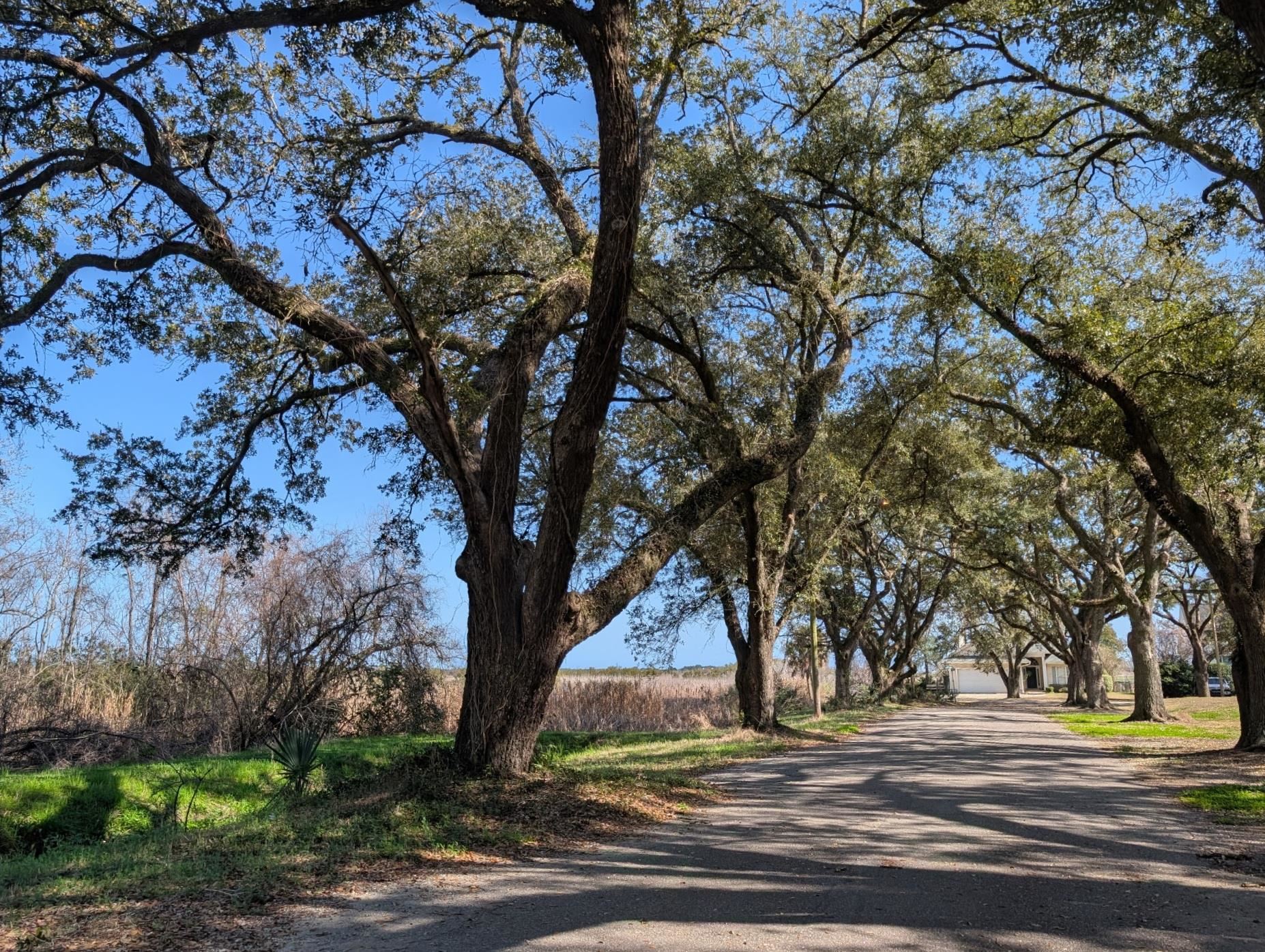 616 Marshview Lane Georgetown, SC 29440 - Photo 50 of 51