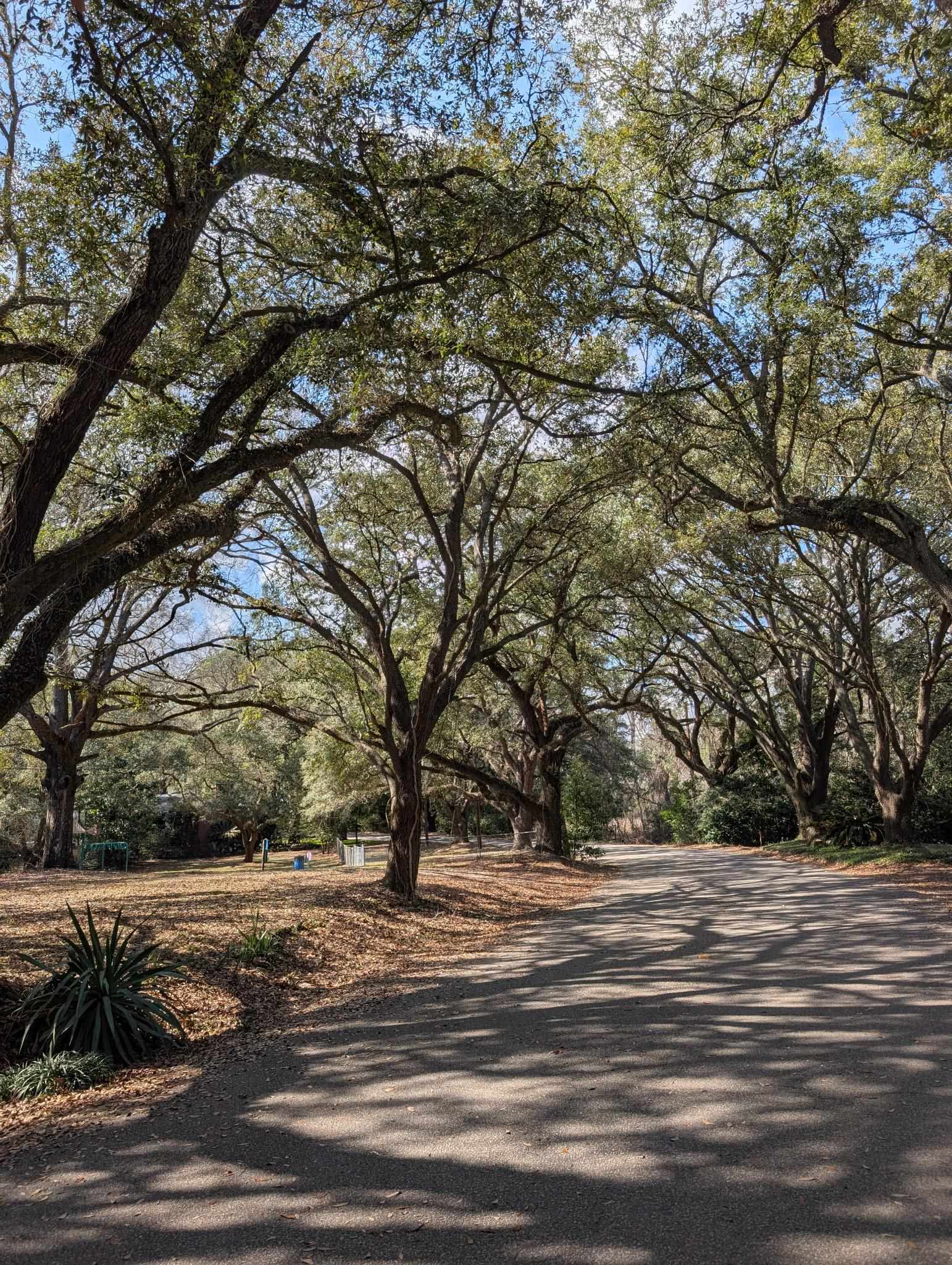 616 Marshview Lane Georgetown, SC 29440 - Photo 51 of 51