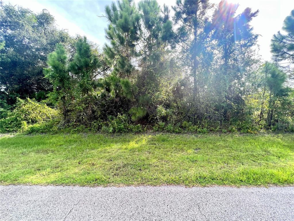 Napoleon Rd Port North Port, FL 34288 - Photo 1 of 1 a backyard of a house with plants and trees