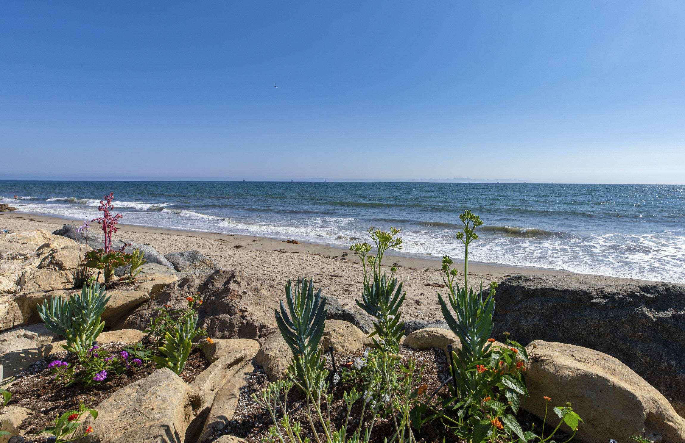 a view of a street with an ocean