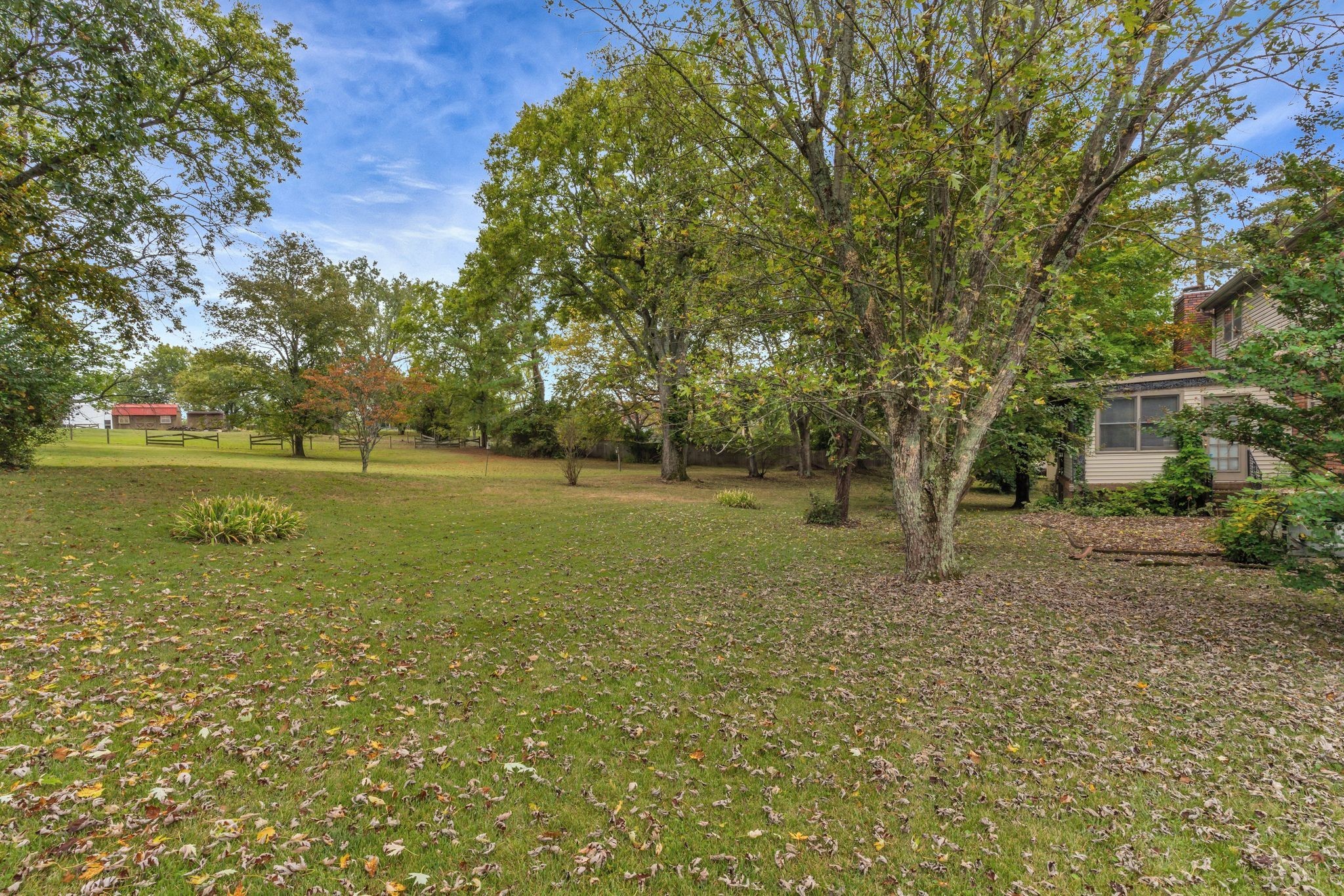 429 Nesbitt Lane Madison, TN 37115 - Photo 39 of 44 a view of a field with trees in the background