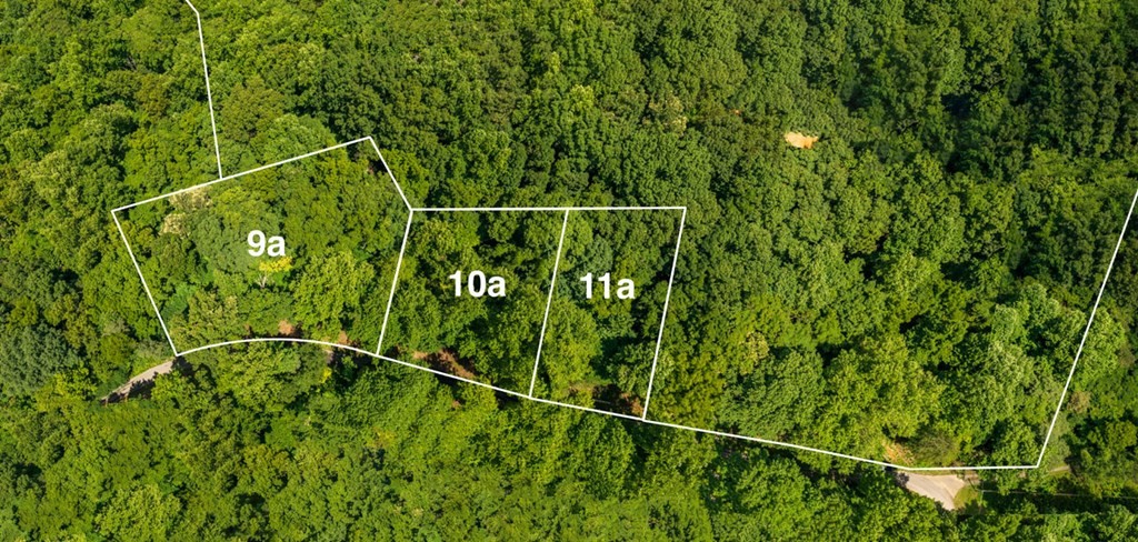 9 Blowing Cave Road Sevierville, TN 37876 - Photo 8 of 10