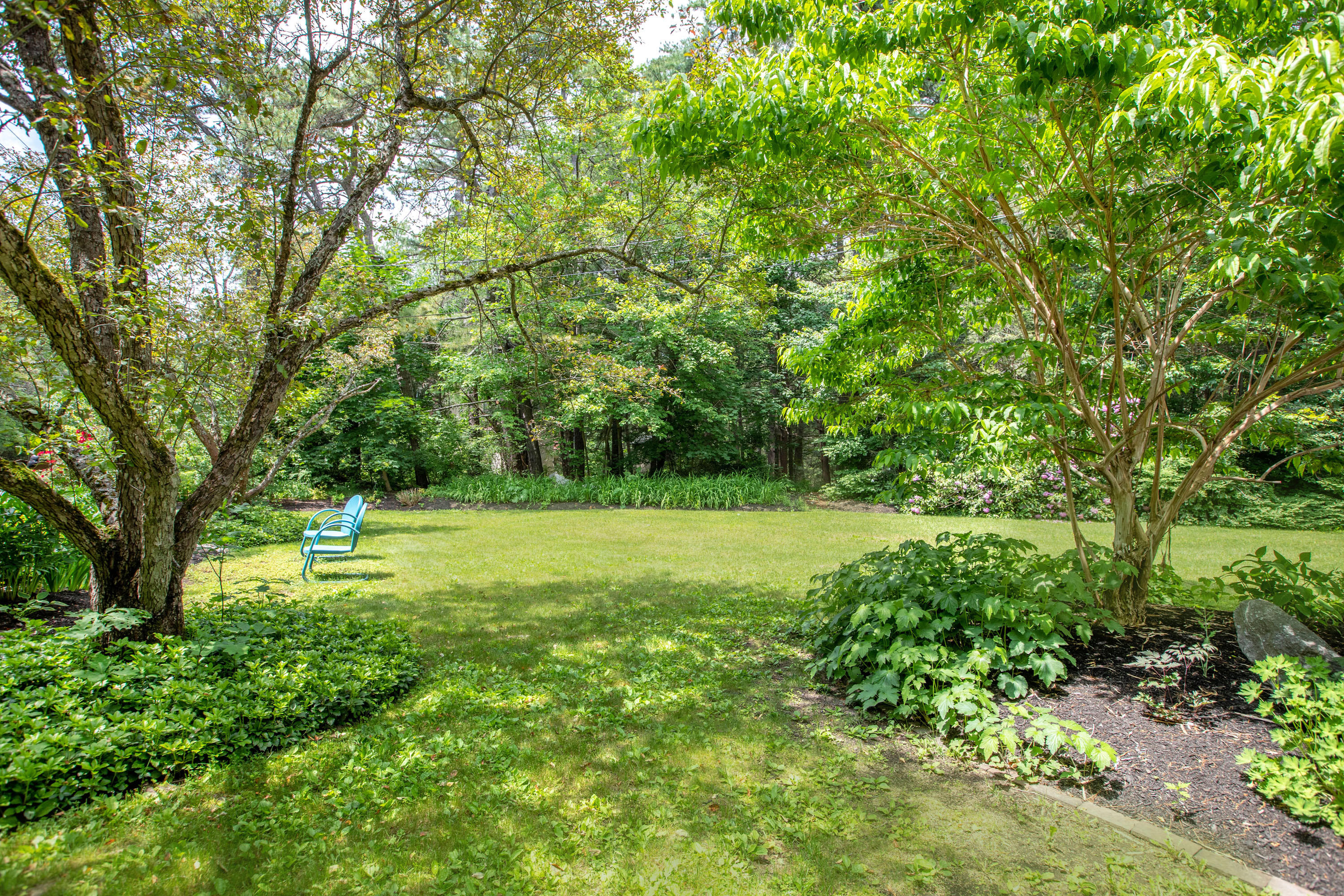 17 Meadowbrook Road Brunswick, ME 04011 - Photo 70 of 71 Beautiful Yard