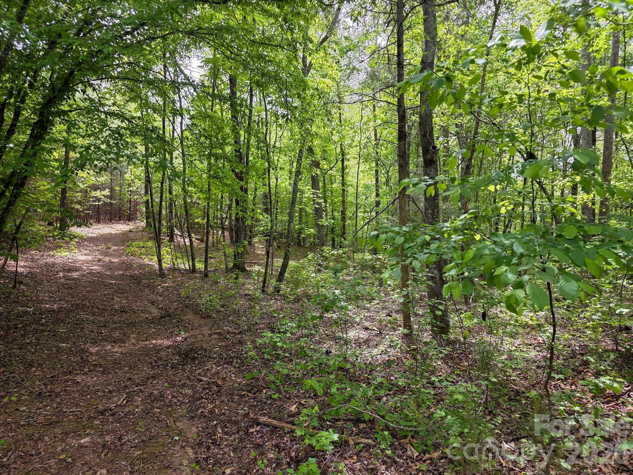 0 Romey Campbell Road Ellenboro, NC 28040 - Photo 11 of 41