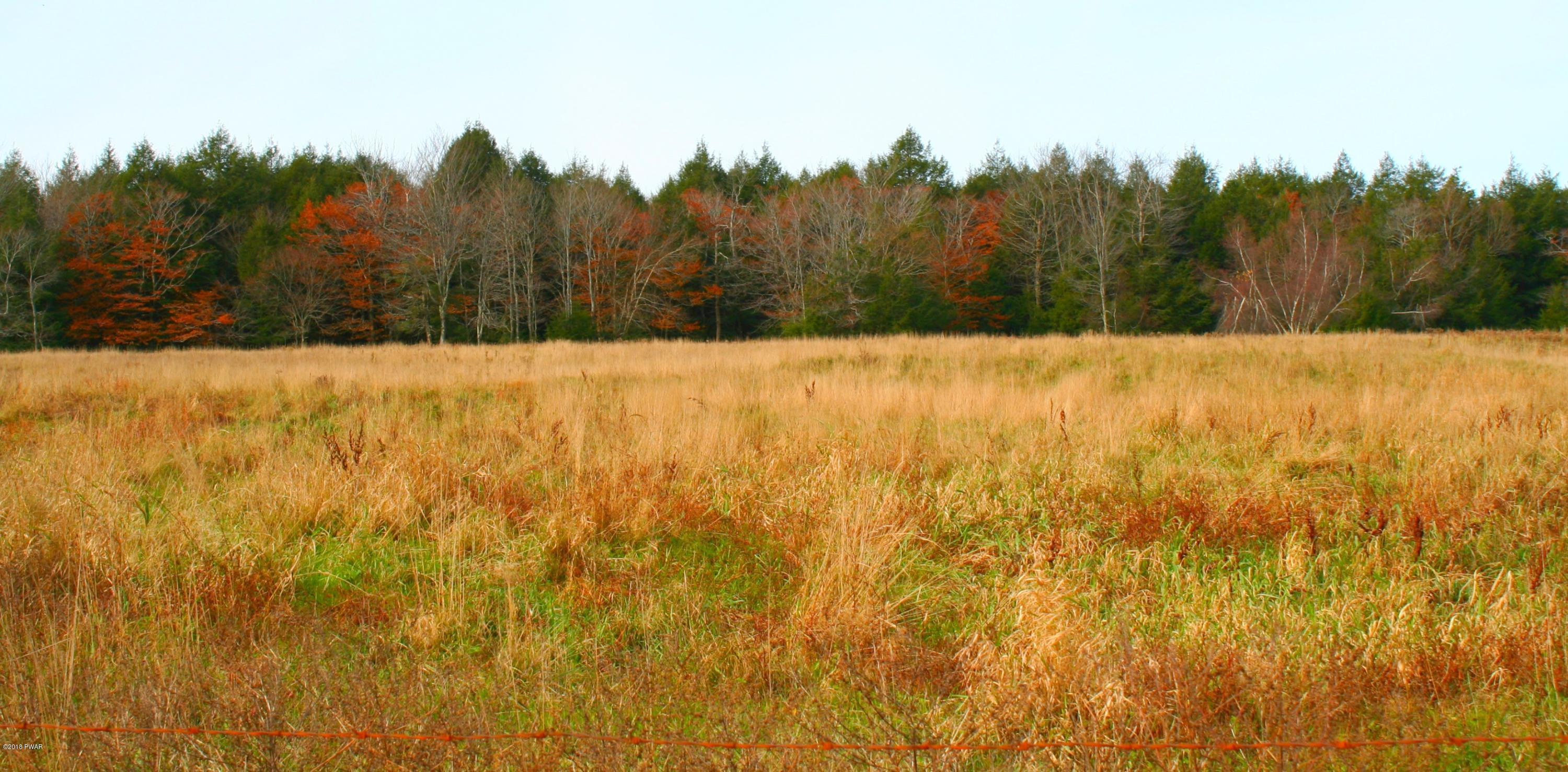 Lot E Lot E North Road Pleasant Mount, PA 18453 - Photo 5 of 7