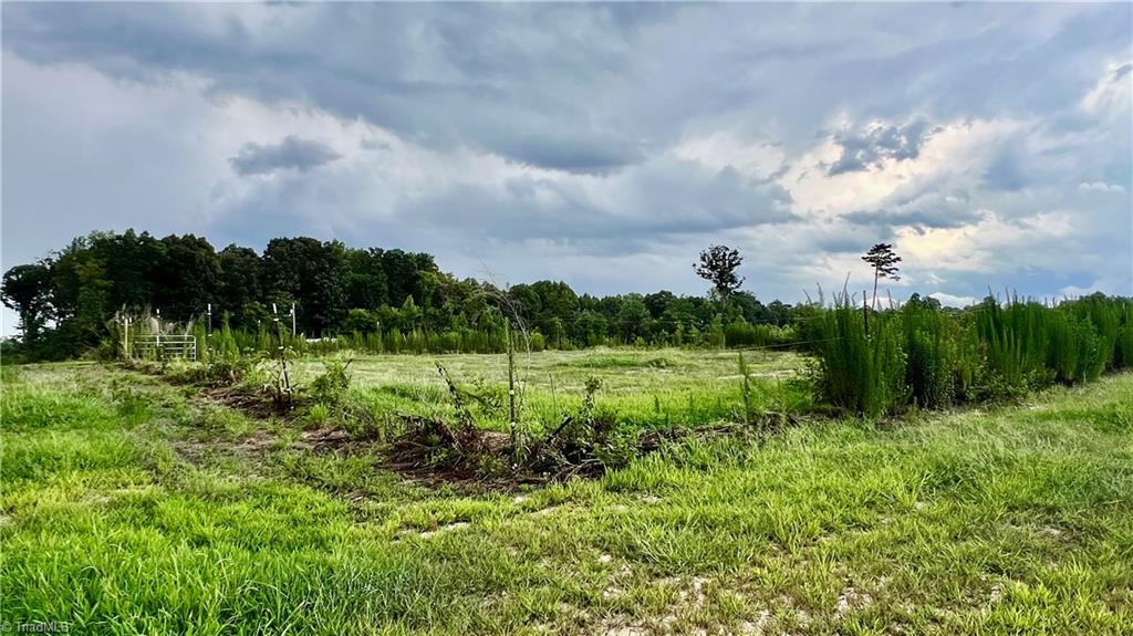 0 Teague Farm Road Seagrove, NC 27341 - Photo 13 of 27