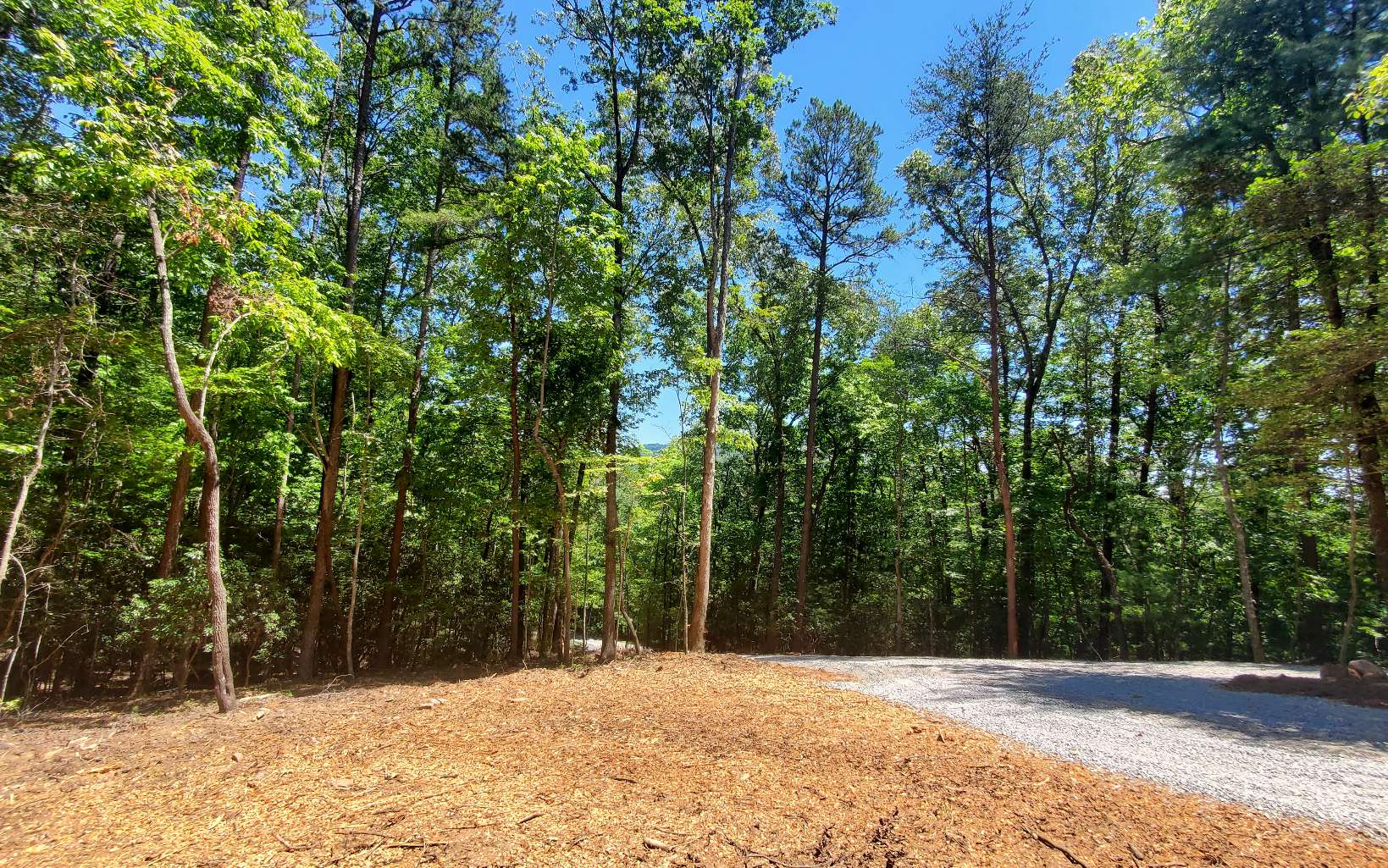 29 Possum Poke Road Ellijay, GA 30536 - Photo 2 of 24 Additional View