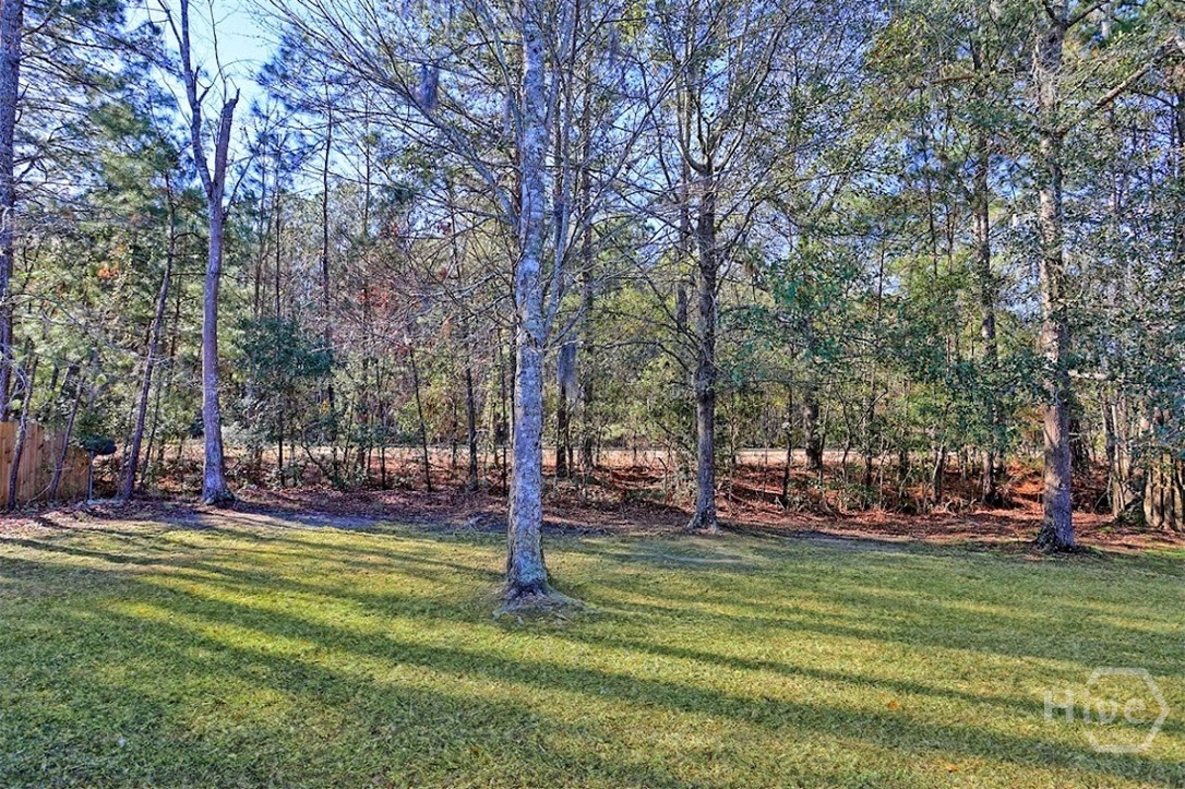 111 Tappan Zee Drive Pooler, GA 31322 - Photo 37 of 37