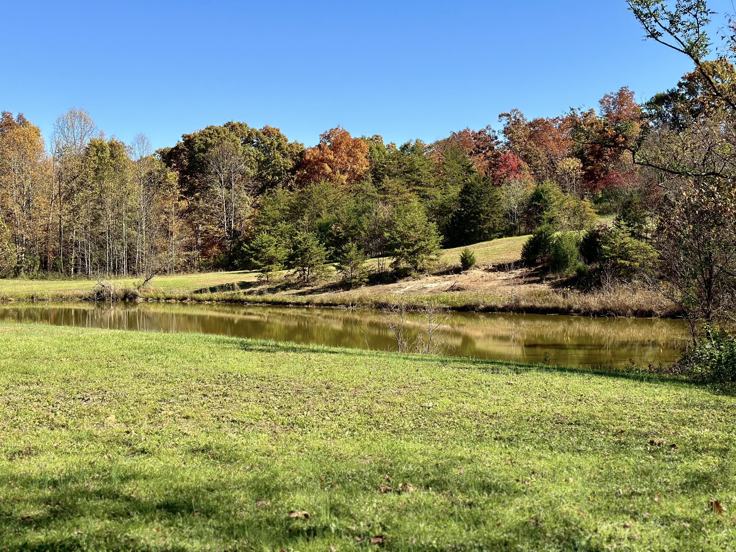 840 New Fox Road Irvine, KY 40336 - Photo 77 of 84 IMG_4169