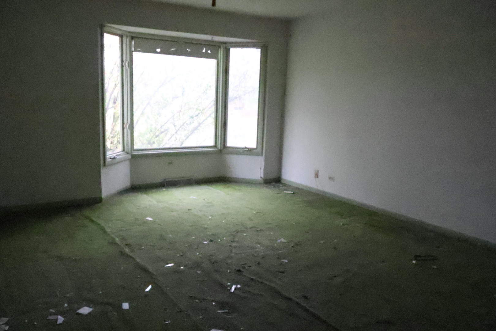 230 Douglass Way Bolingbrook, IL 60440 - Photo 8 of 16 a view of room with window