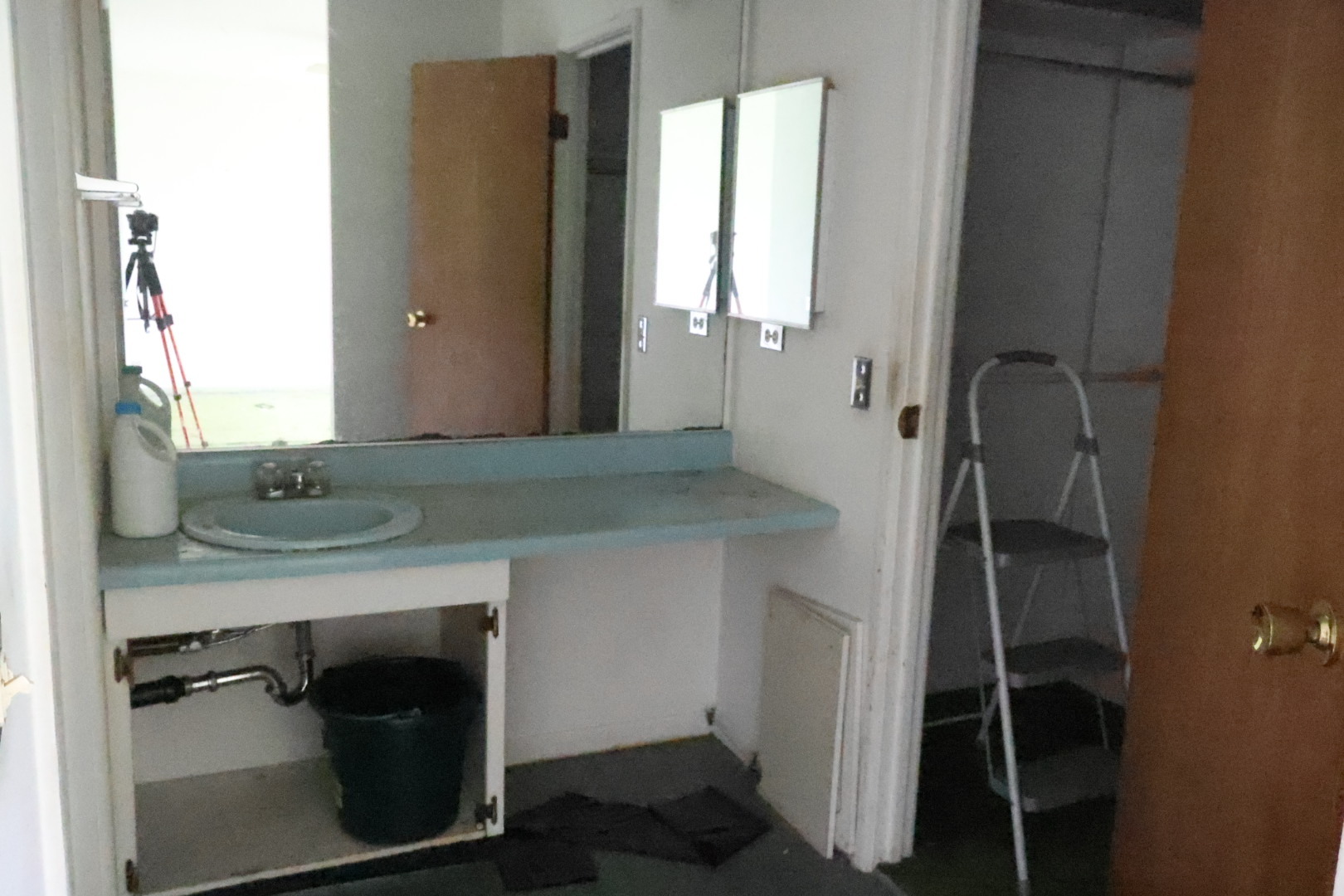 230 Douglass Way Bolingbrook, IL 60440 - Photo 9 of 16 a bathroom with a sink and a mirror