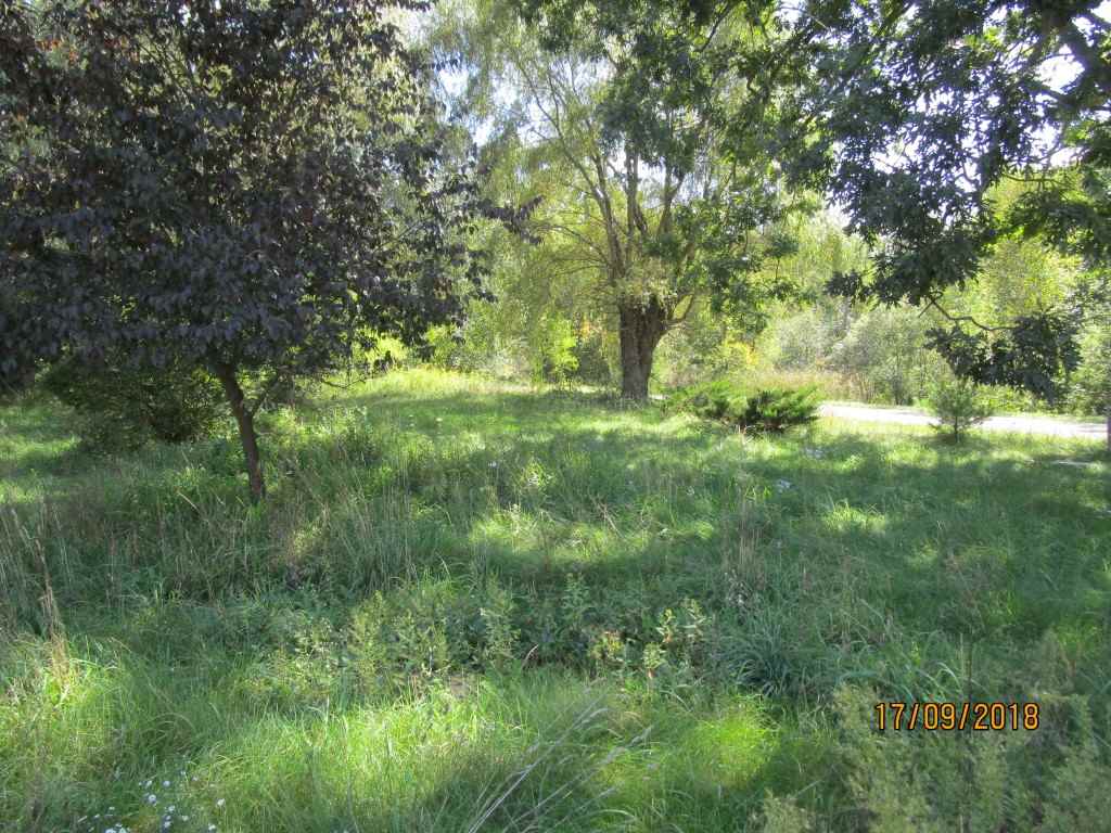 10305 East River Road Mount Pleasant, MI 48858 - Photo 33 of 33 1852919-32.JPG
