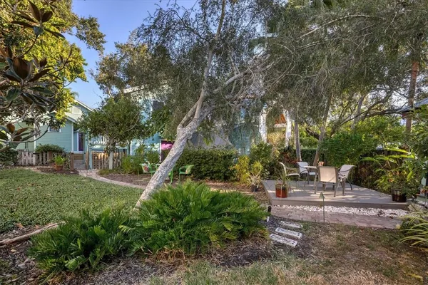 a garden view with large trees