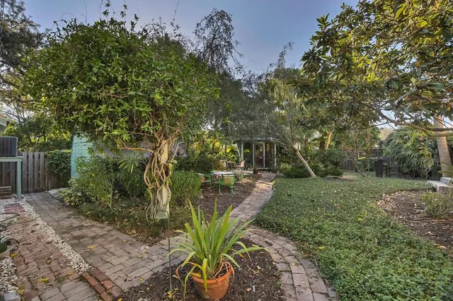 a view of a backyard with plants and large trees