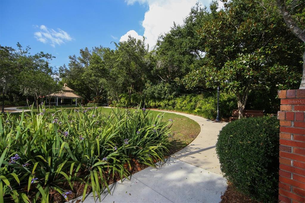 1716 Oak Street Sarasota, FL 34236 - Photo 38 of 49 a view of a yard with plants and large trees