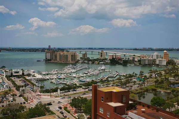 a park with full of palm trees