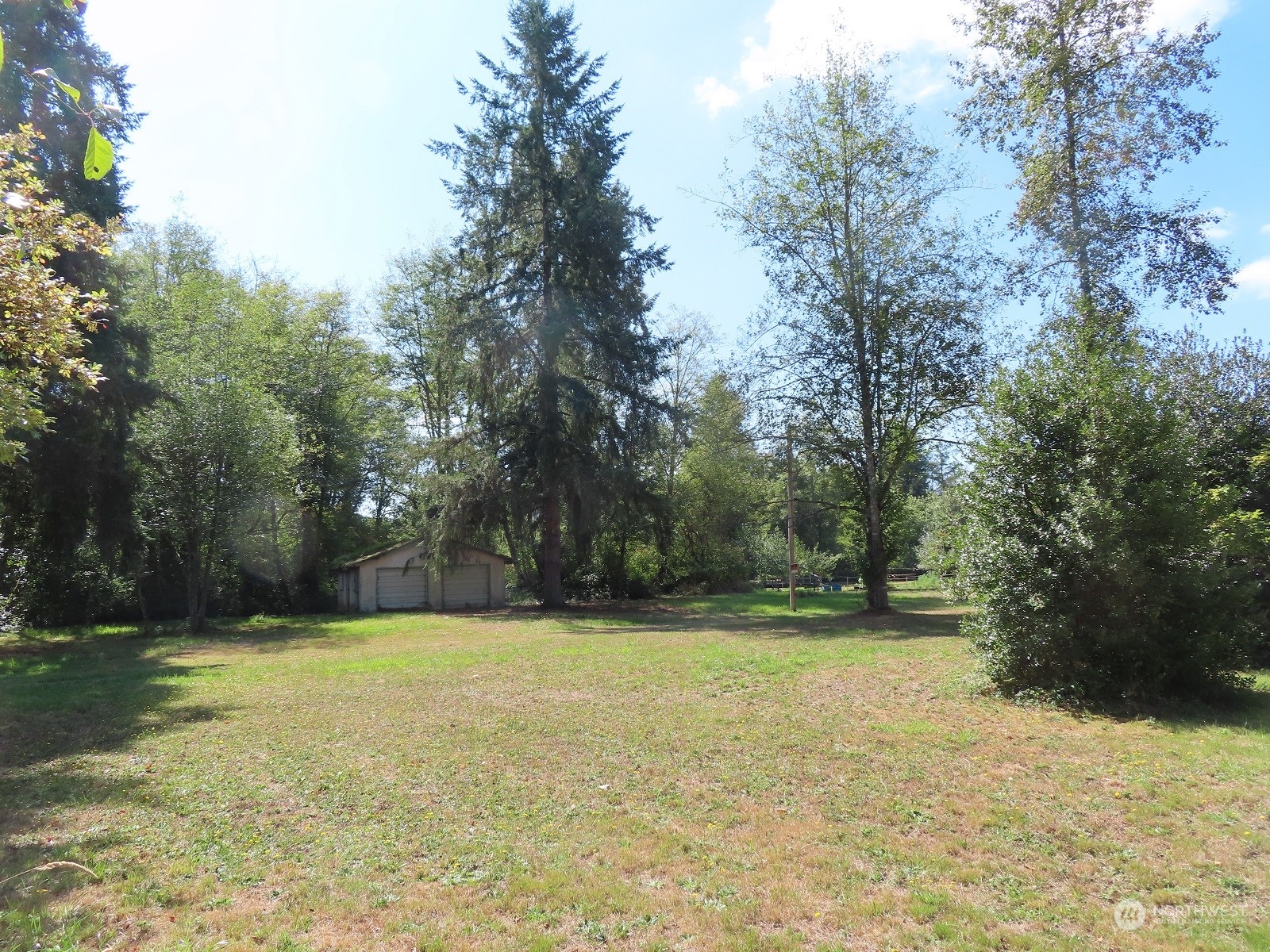 a view of a swimming pool and trees in the background