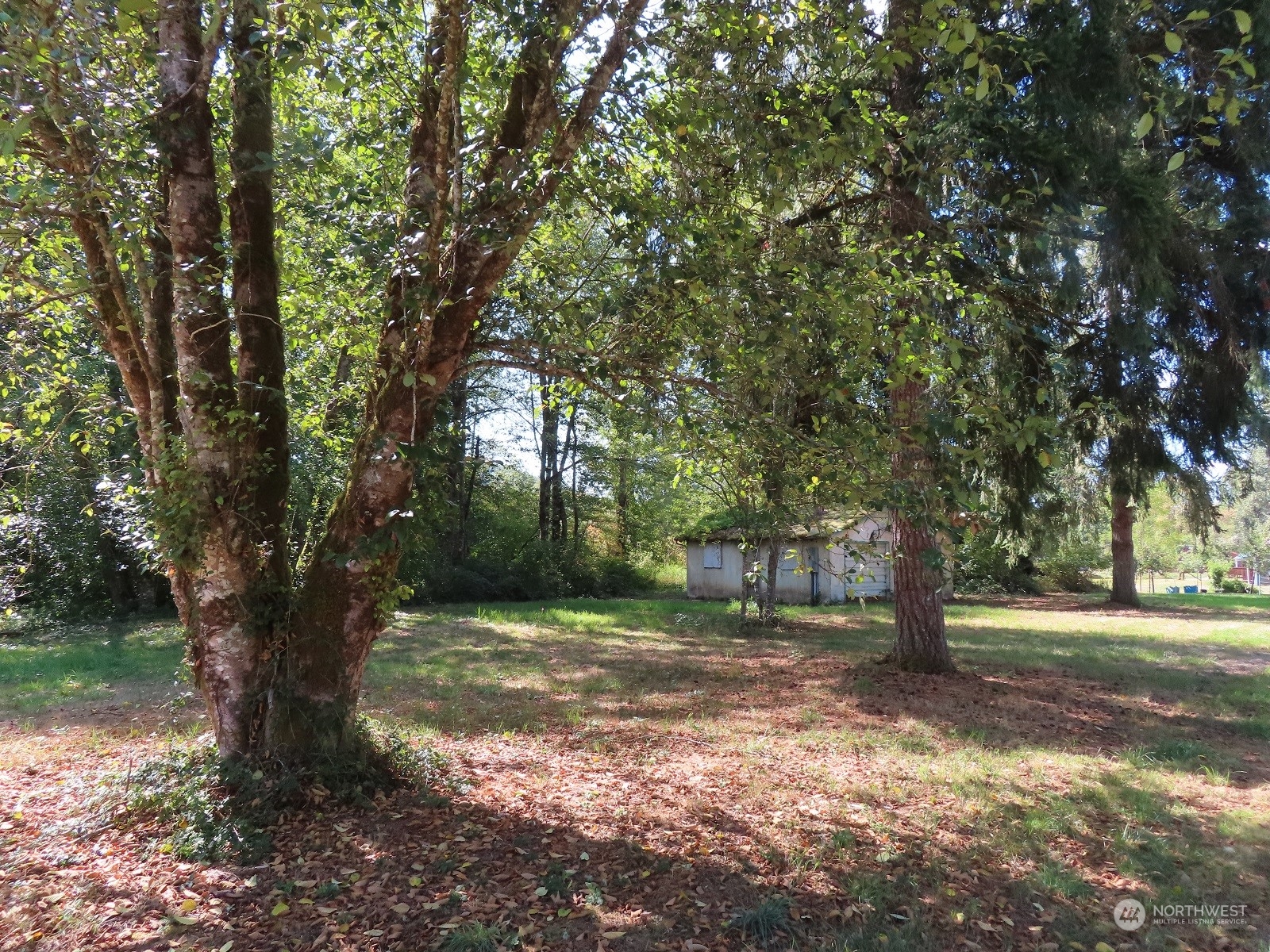 654 Shanklin Road Onalaska, WA 98570 - Photo 11 of 20 a backyard of a house with lots of green space
