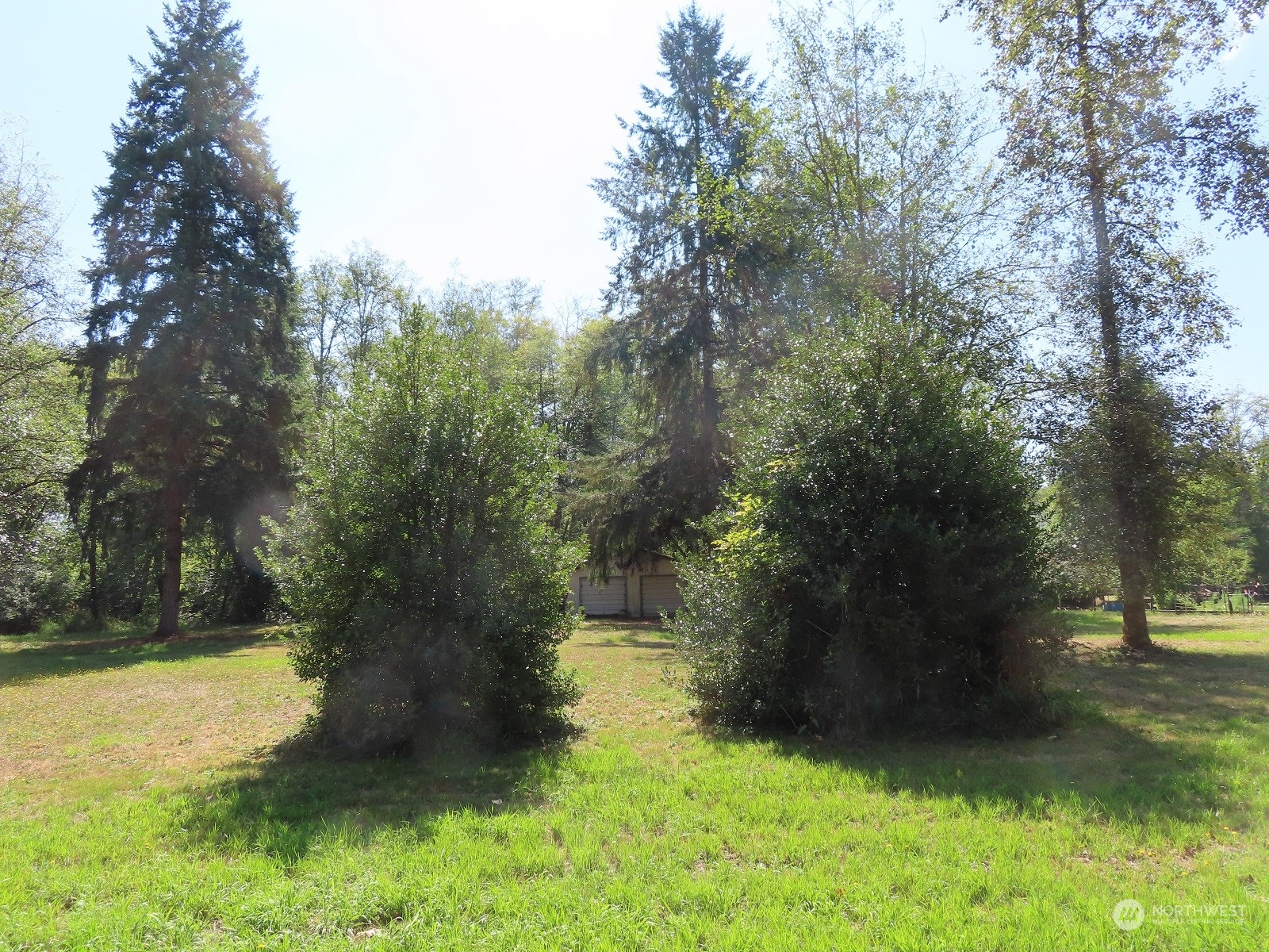 654 Shanklin Road Onalaska, WA 98570 - Photo 12 of 20 a view of a yard with large trees