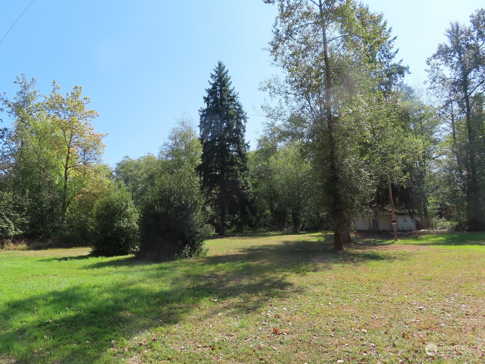 654 Shanklin Road Onalaska, WA 98570 - Photo 13 of 20 a view of outdoor space with trees all around
