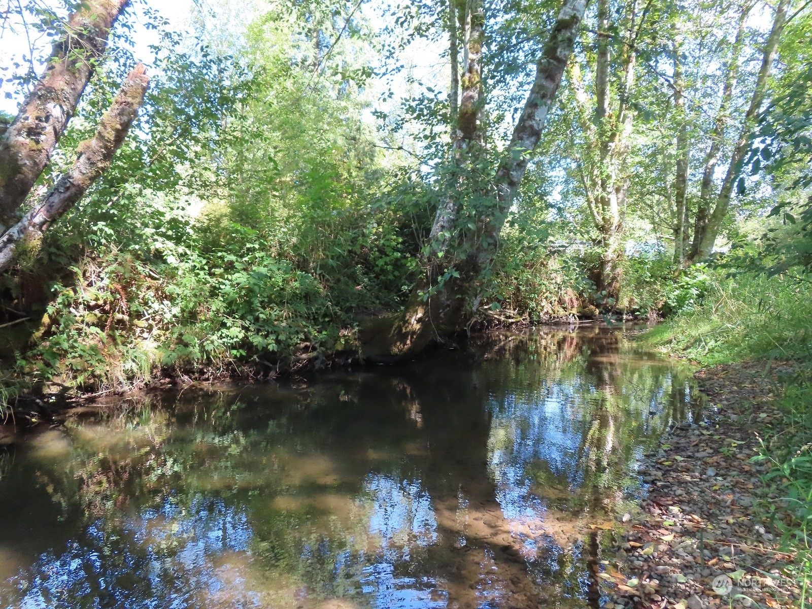 654 Shanklin Road Onalaska, WA 98570 - Photo 14 of 20 a view of lake with green space