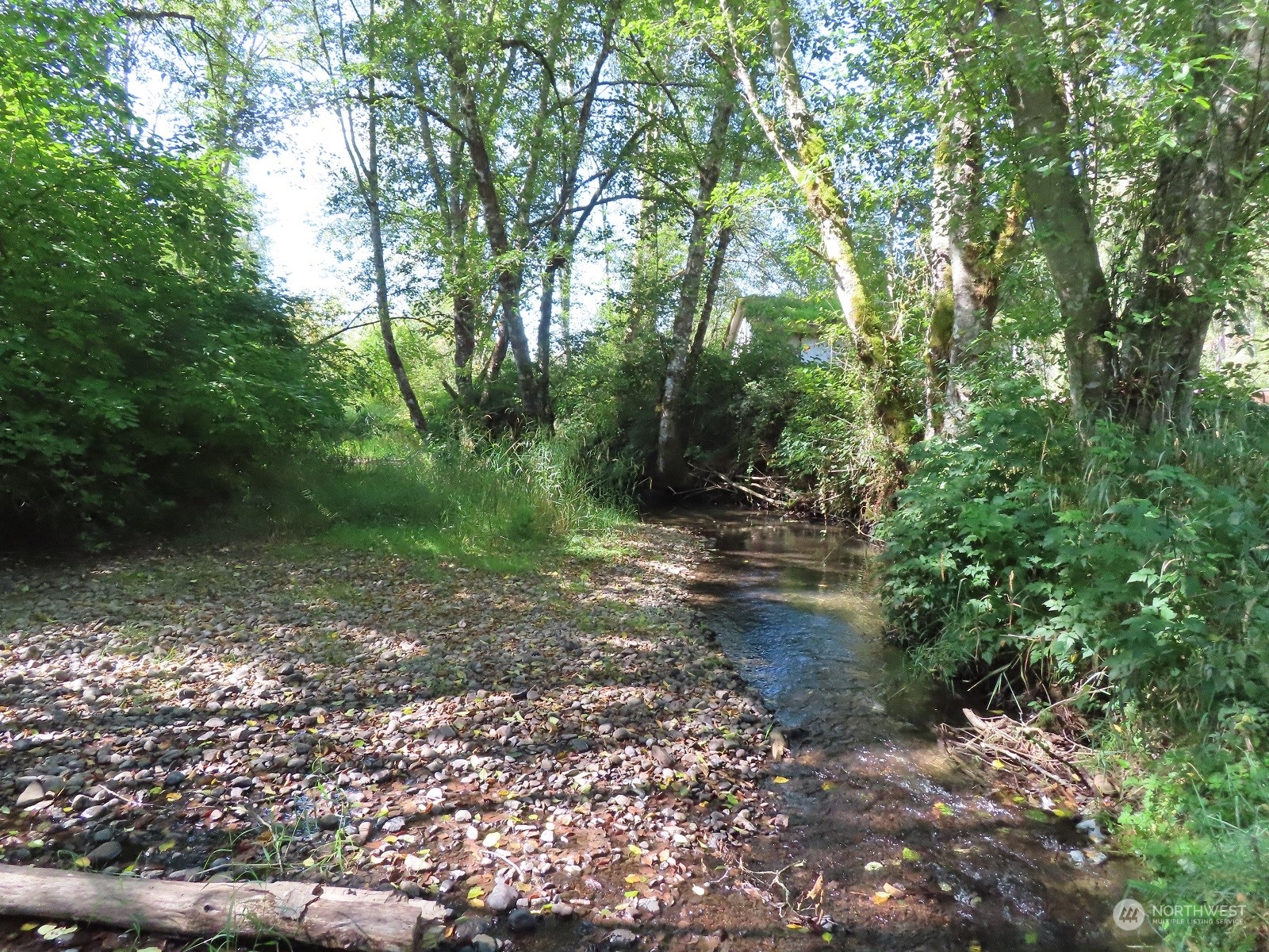 654 Shanklin Road Onalaska, WA 98570 - Photo 15 of 20 a view of a forest with trees in the background