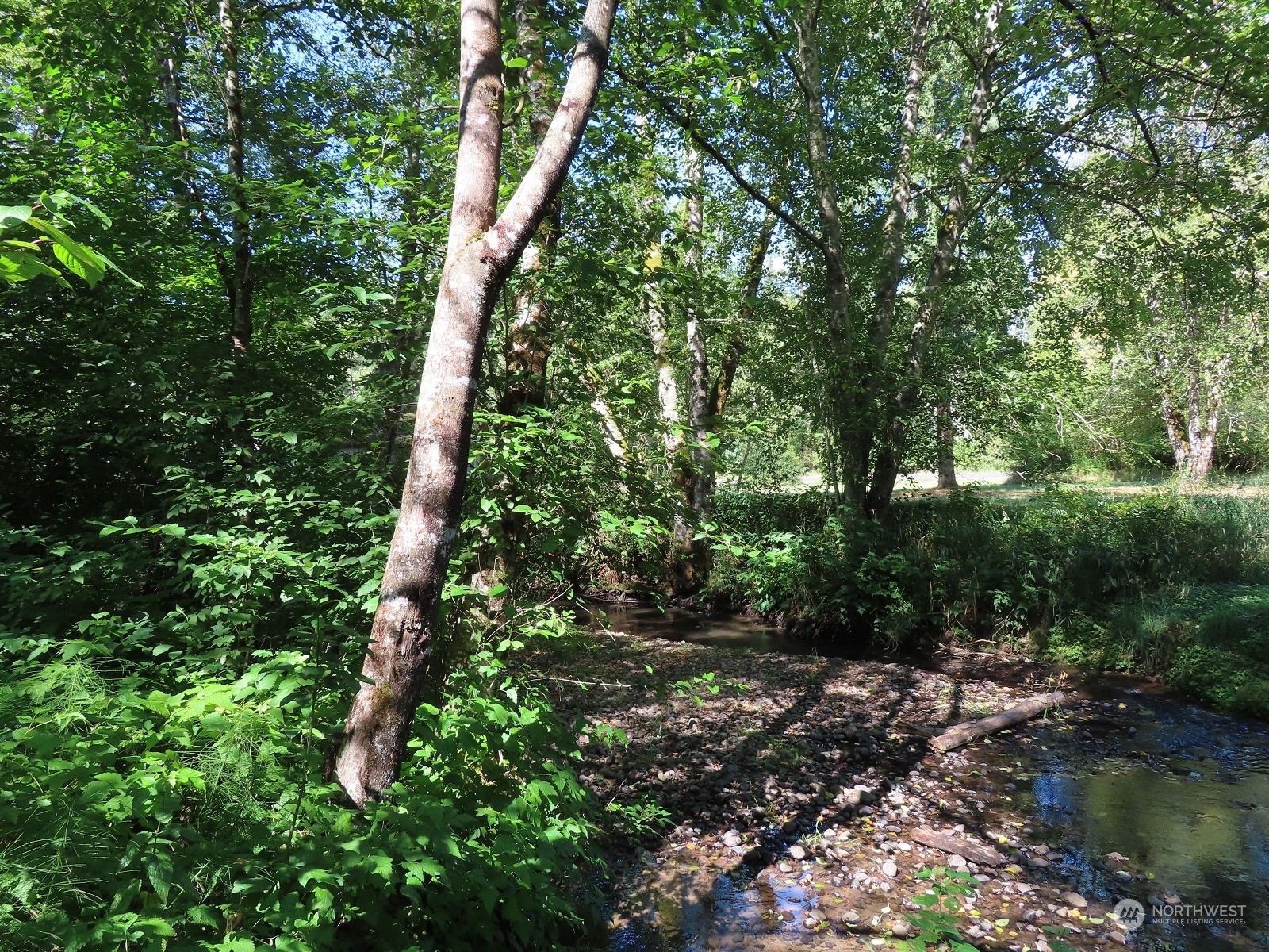 654 Shanklin Road Onalaska, WA 98570 - Photo 17 of 20 a view of forest