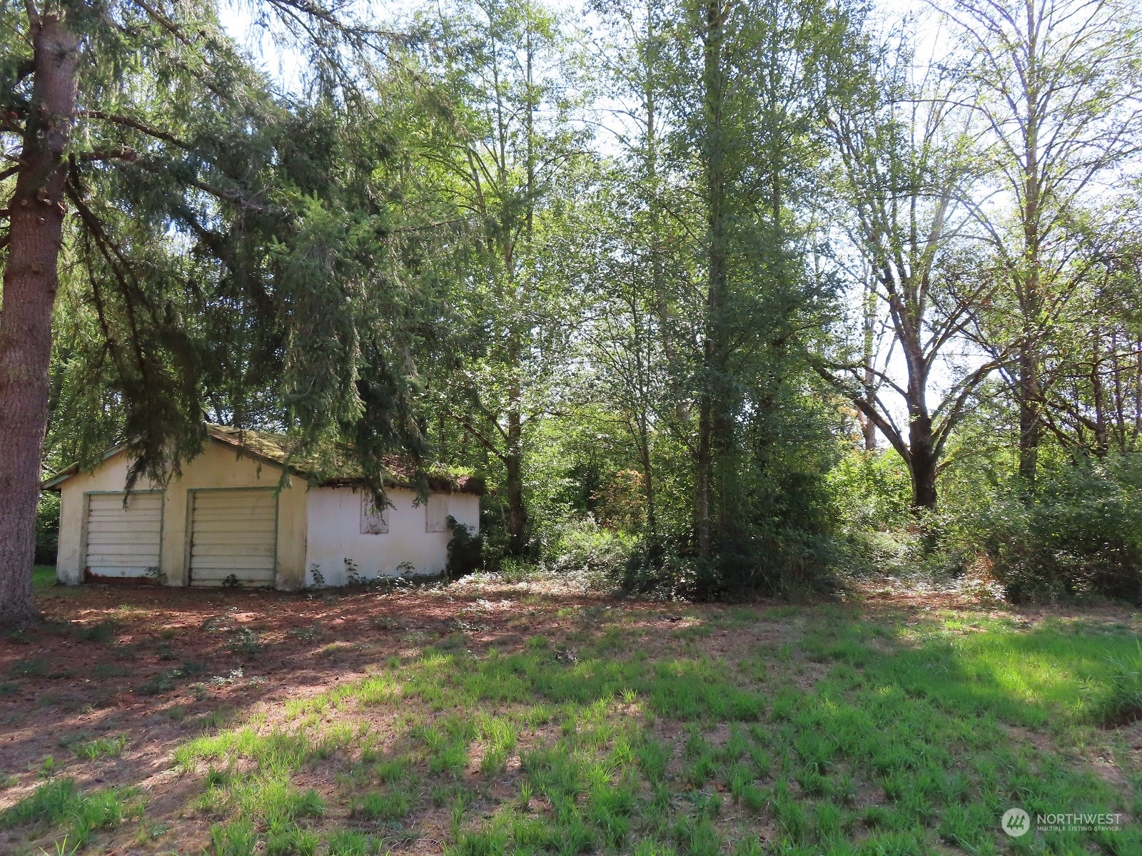 654 Shanklin Road Onalaska, WA 98570 - Photo 19 of 20 a view of a backyard with large trees