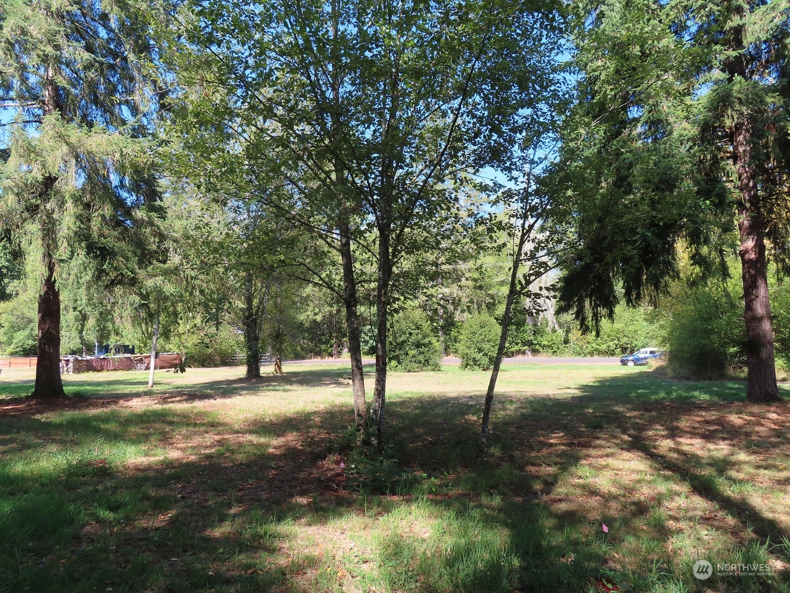 654 Shanklin Road Onalaska, WA 98570 - Photo 3 of 20 a view of yard with tree s