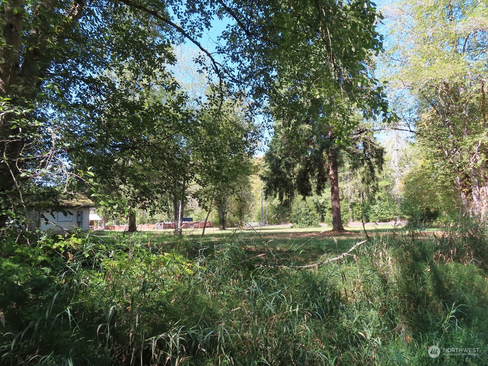 654 Shanklin Road Onalaska, WA 98570 - Photo 5 of 20 a big yard with lots of green space and trees all around